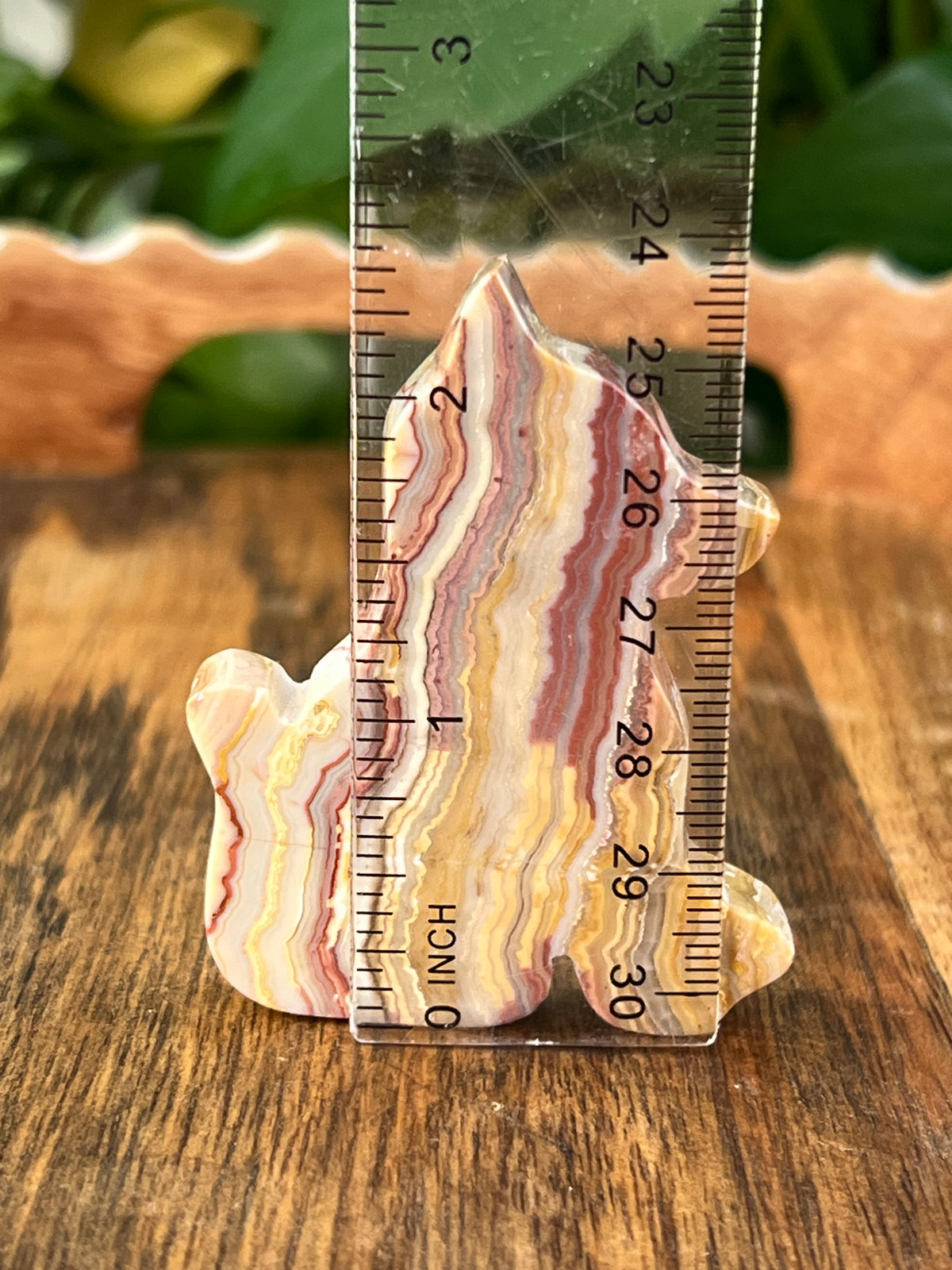 Crazy Lace Agate Dogs