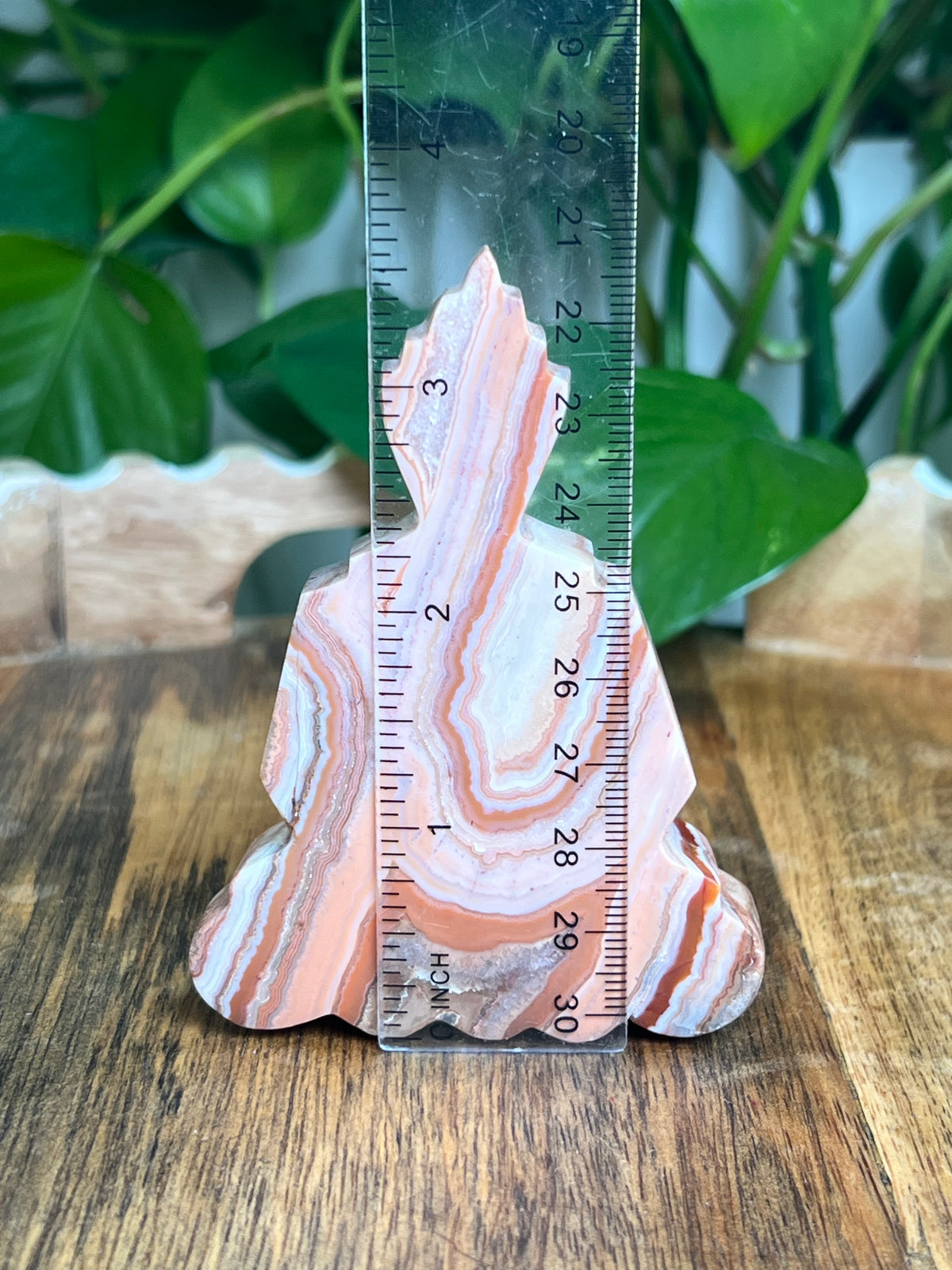 Crazy Lace Agate Buddha: D