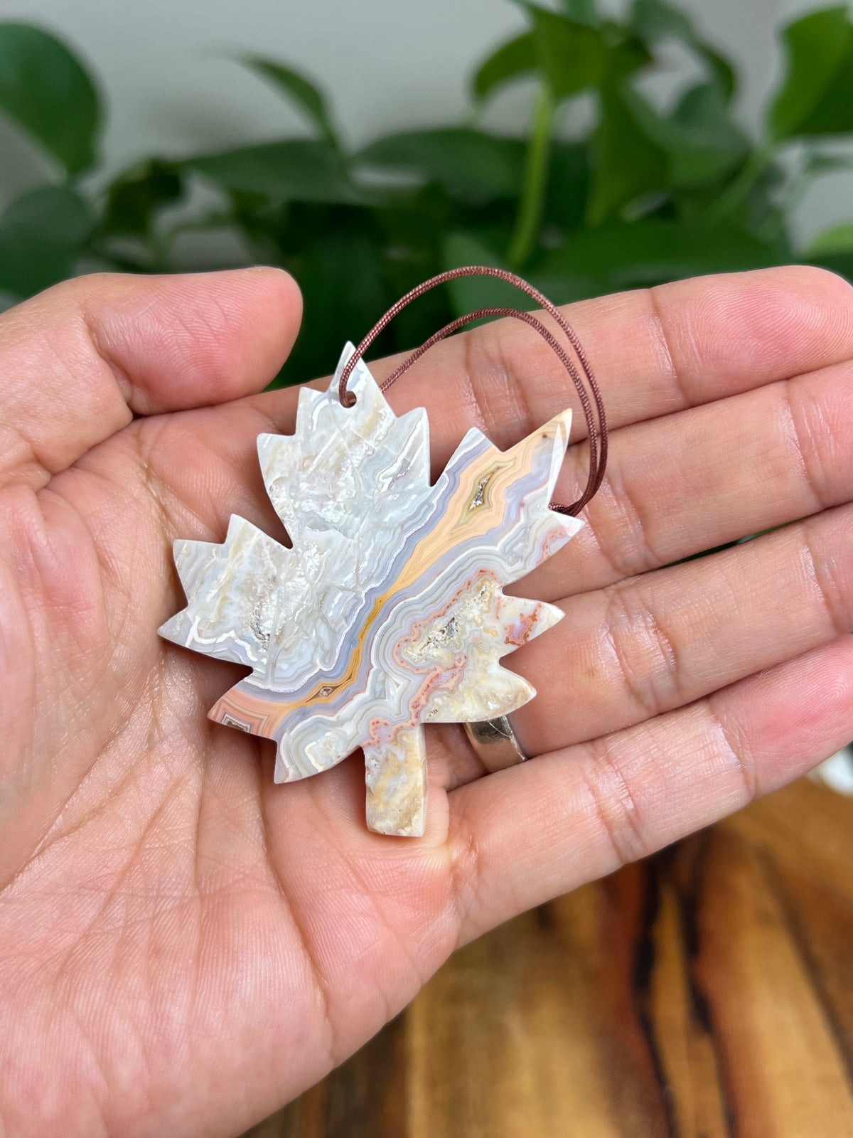 Crazy Lace Agate Ornament Leaf: P