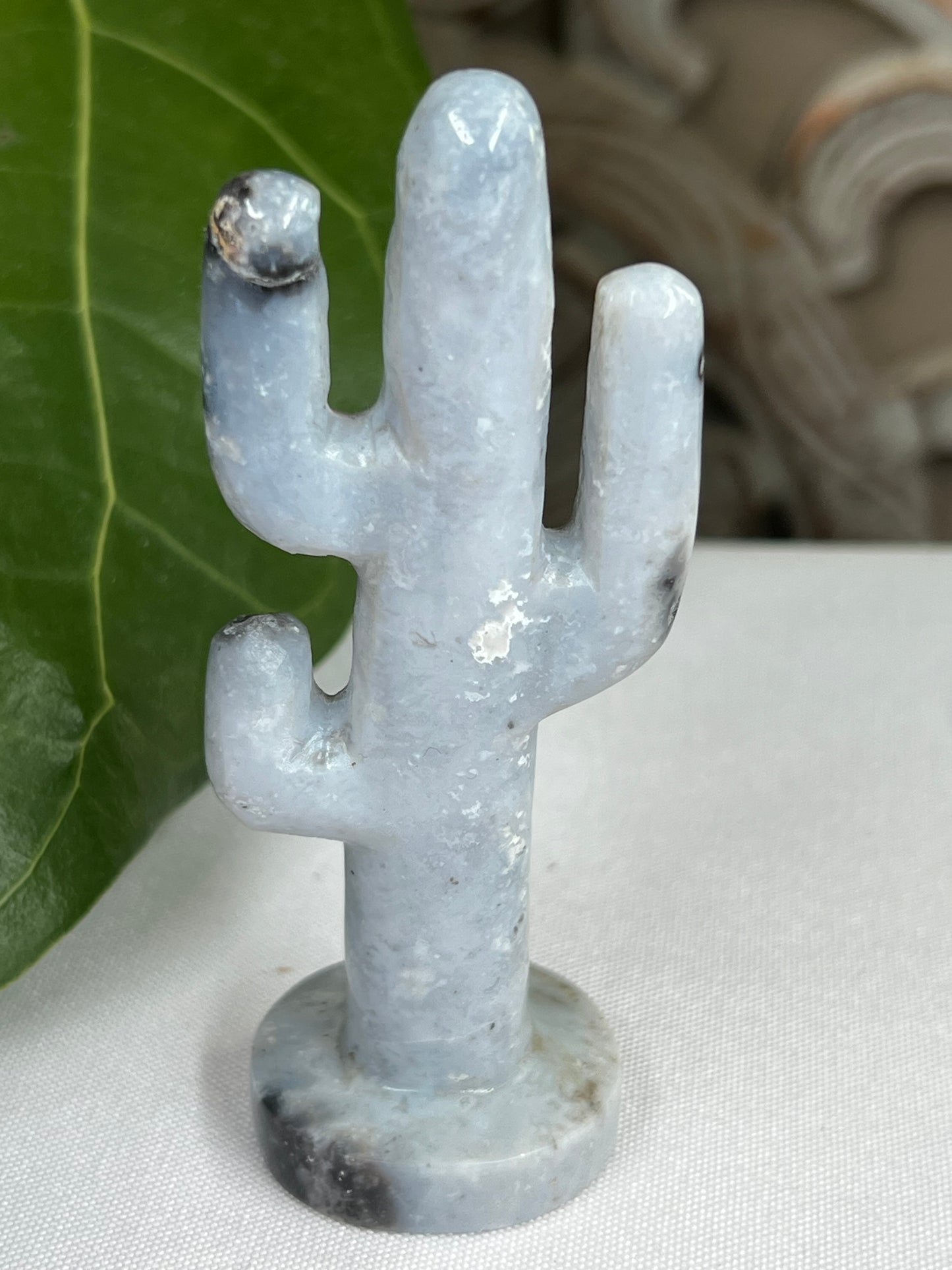 Blue Plume Agate Cactus