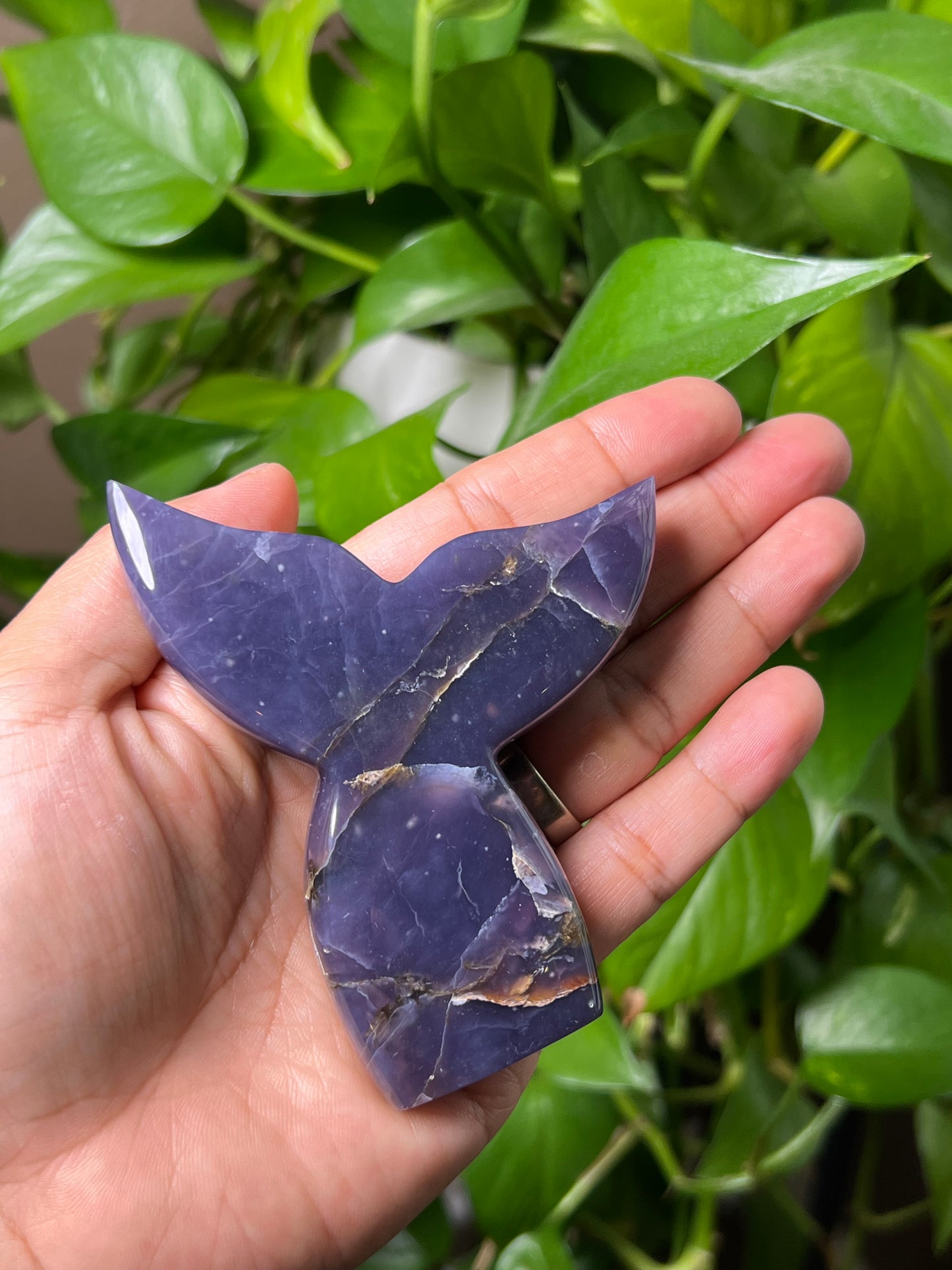 Purple Chalcedony Tail