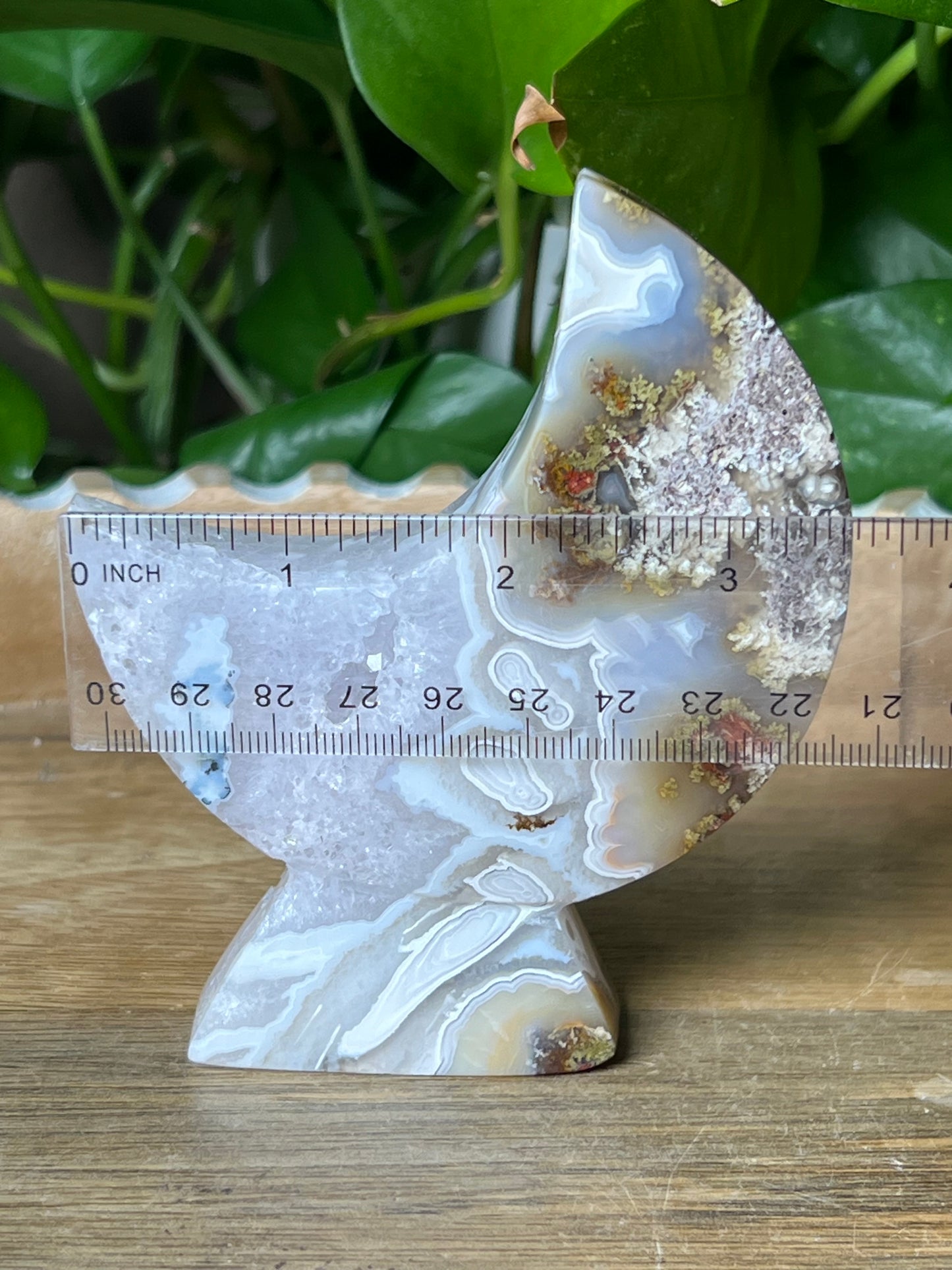 Scenic Moss Agate Moon Stand: AC