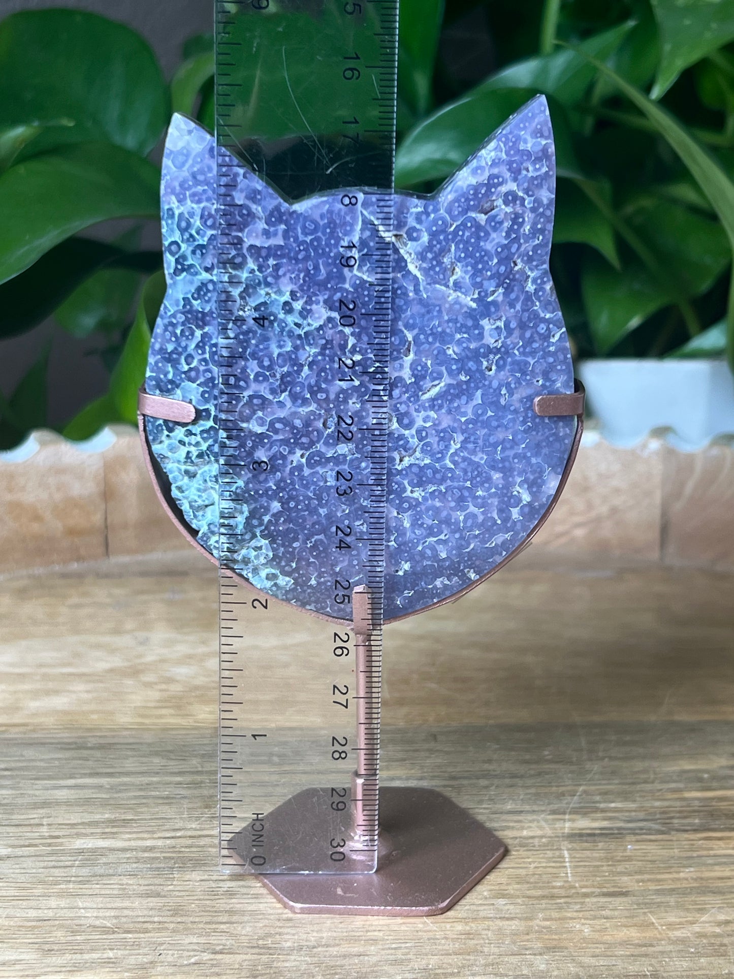 Grape Agate Cat