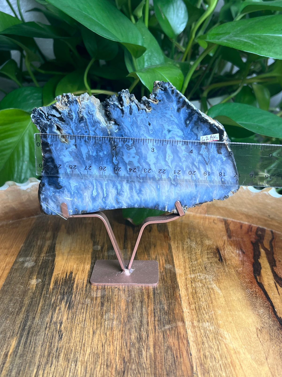 Blue Plume Agate Slab: AK