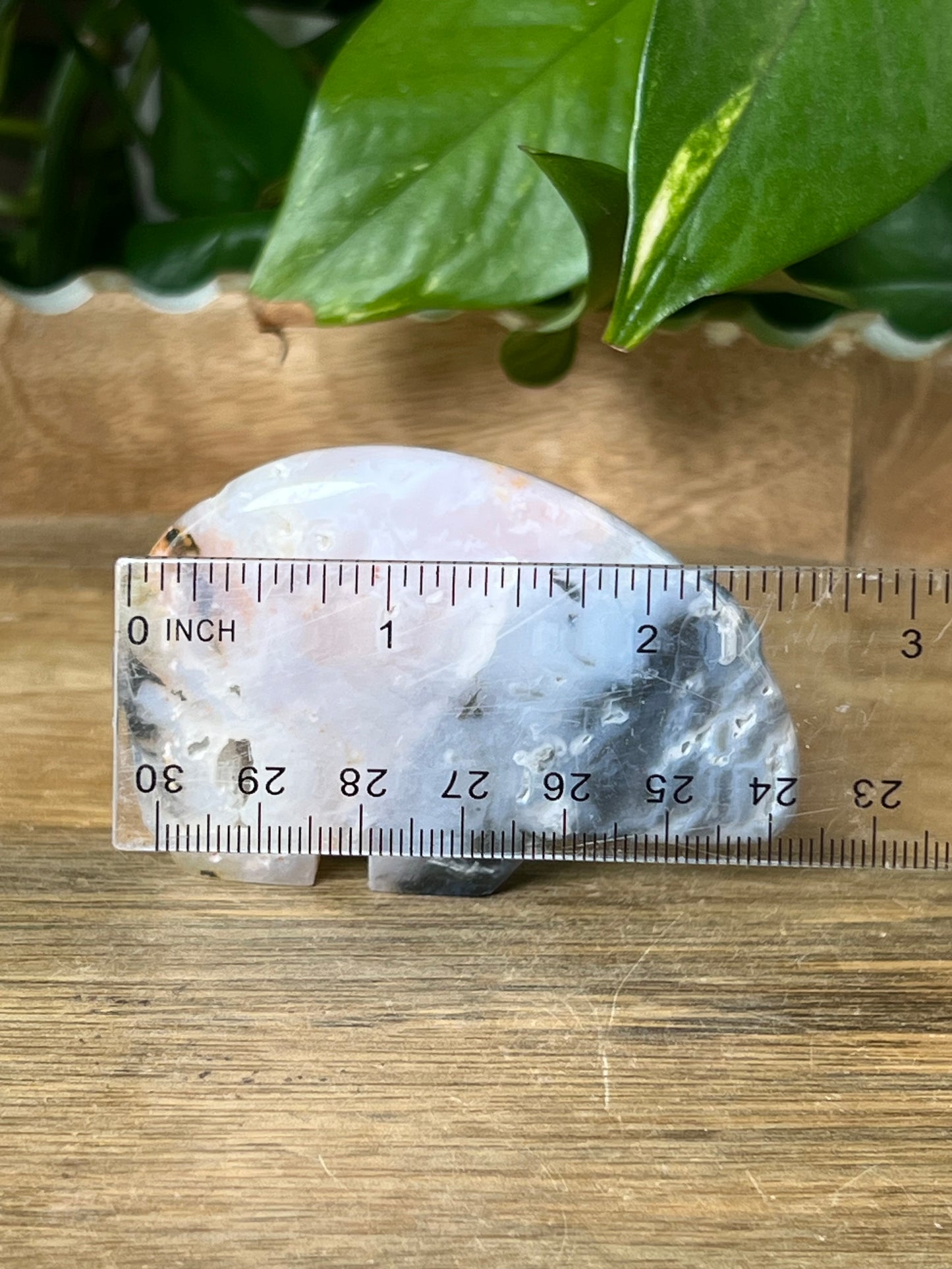 Rainbow Plume Agate Bear