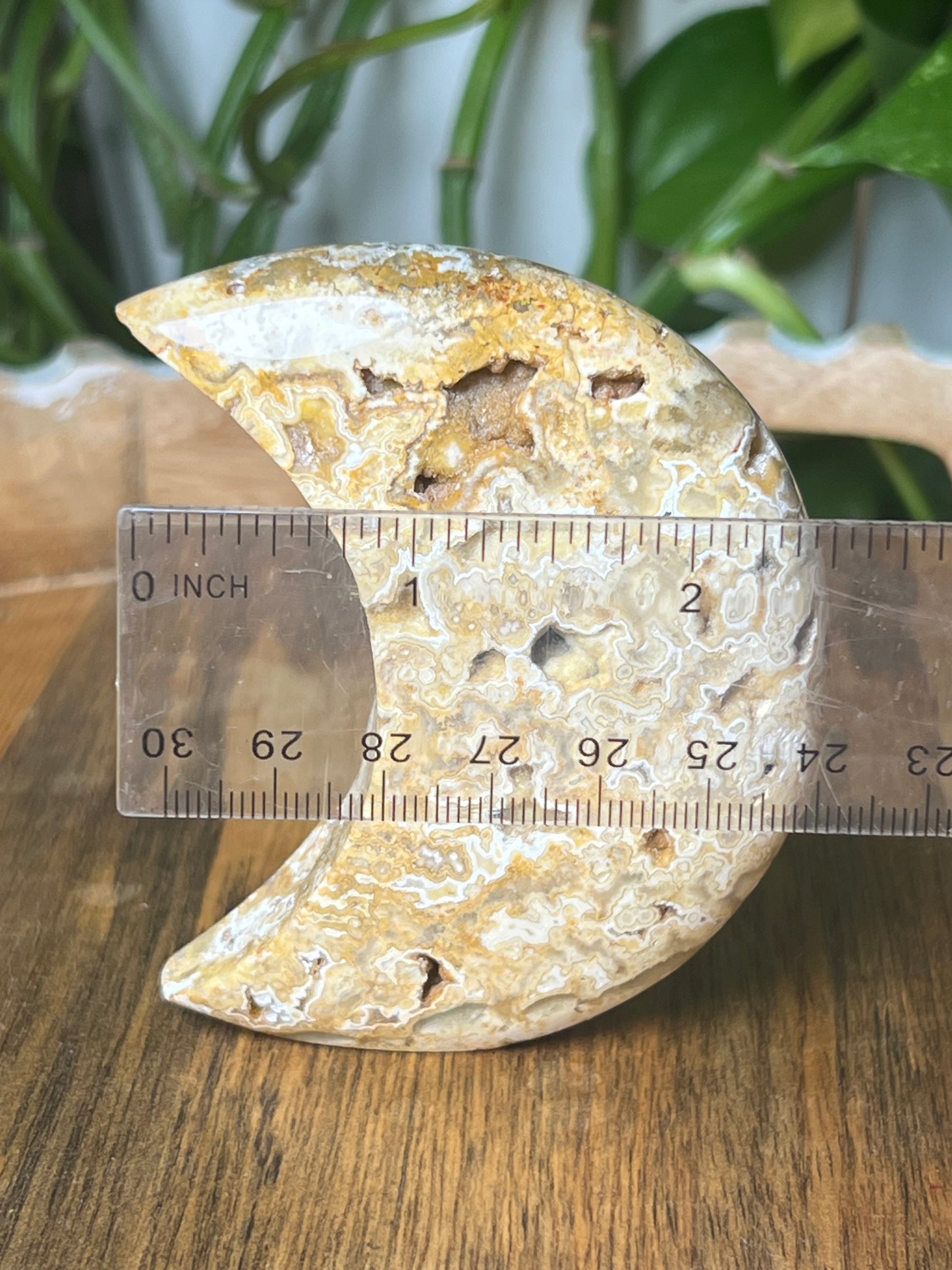 Yellow Crazy Lace Agate Moon