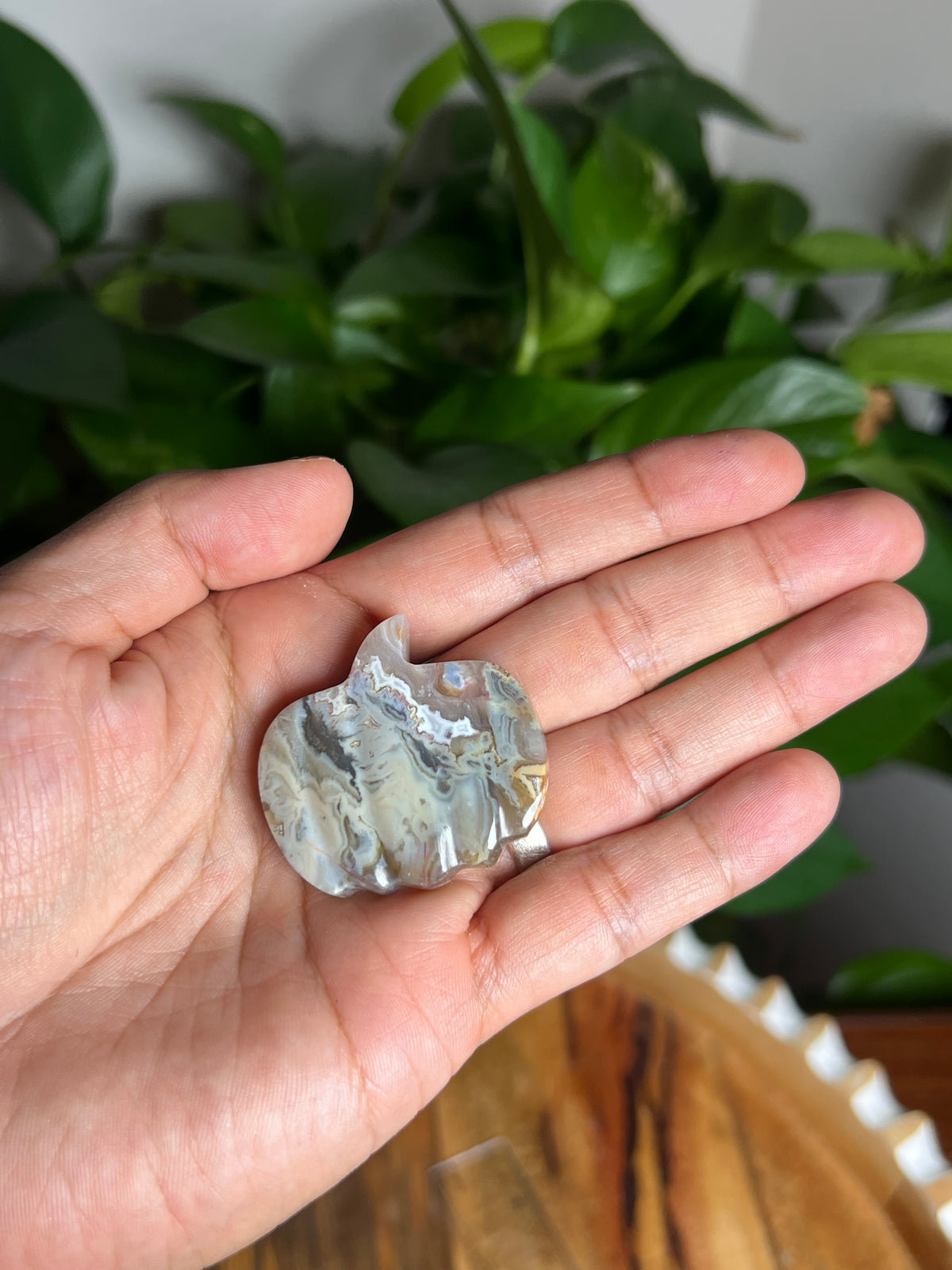 Sumatra Plume Agate Mini Pumpkin