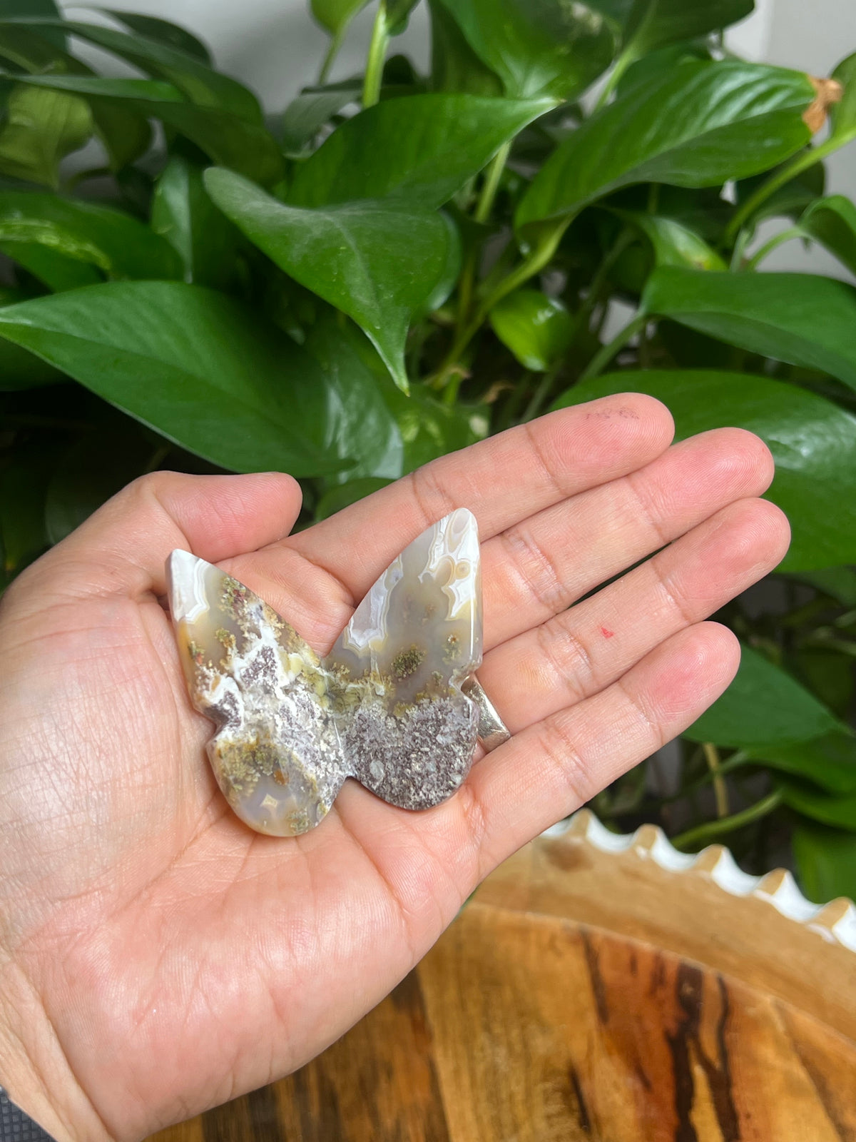 Scenic Moss Agate 3D Butterfly: N