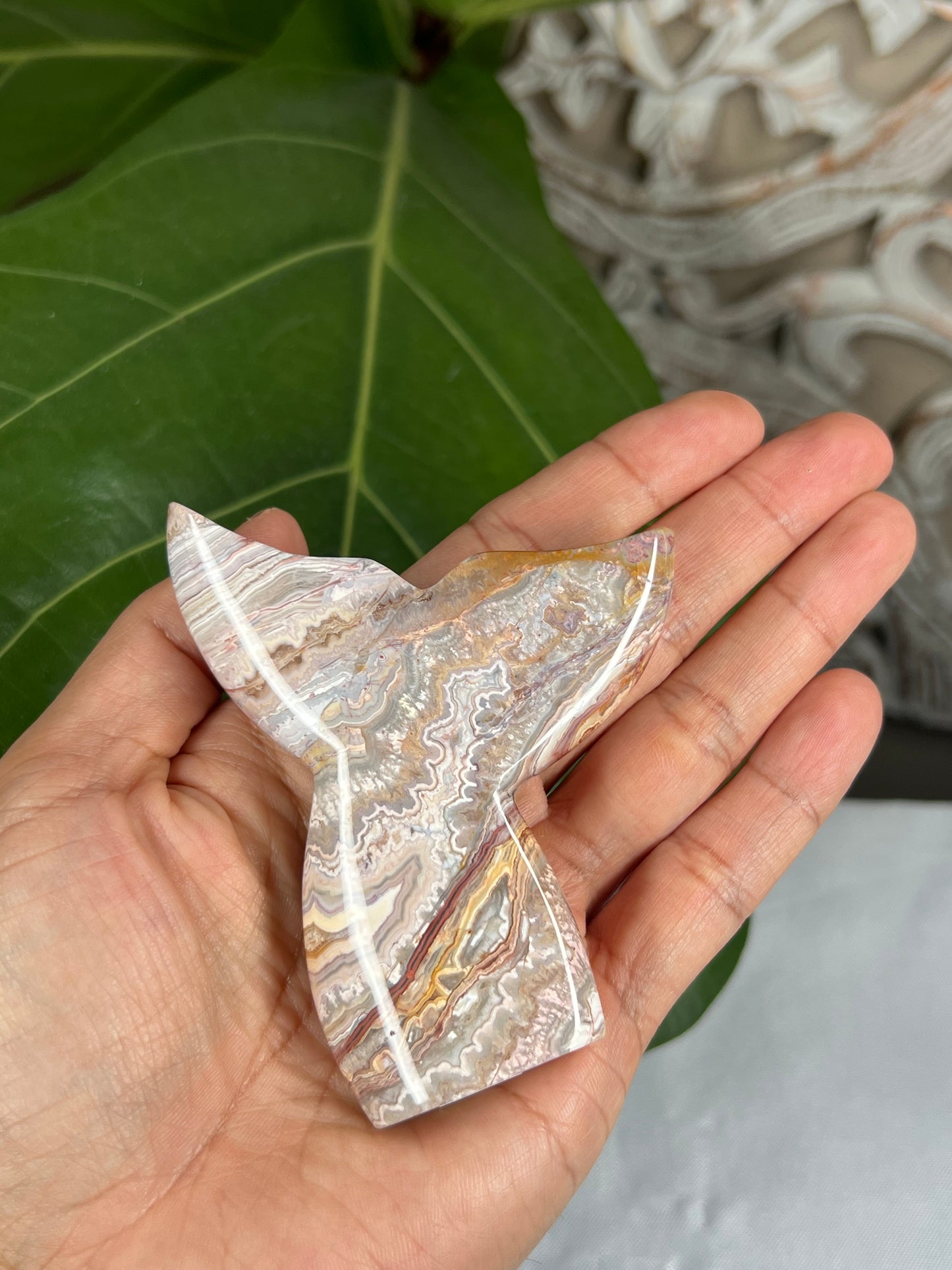 Crazy Lace Agate Tail