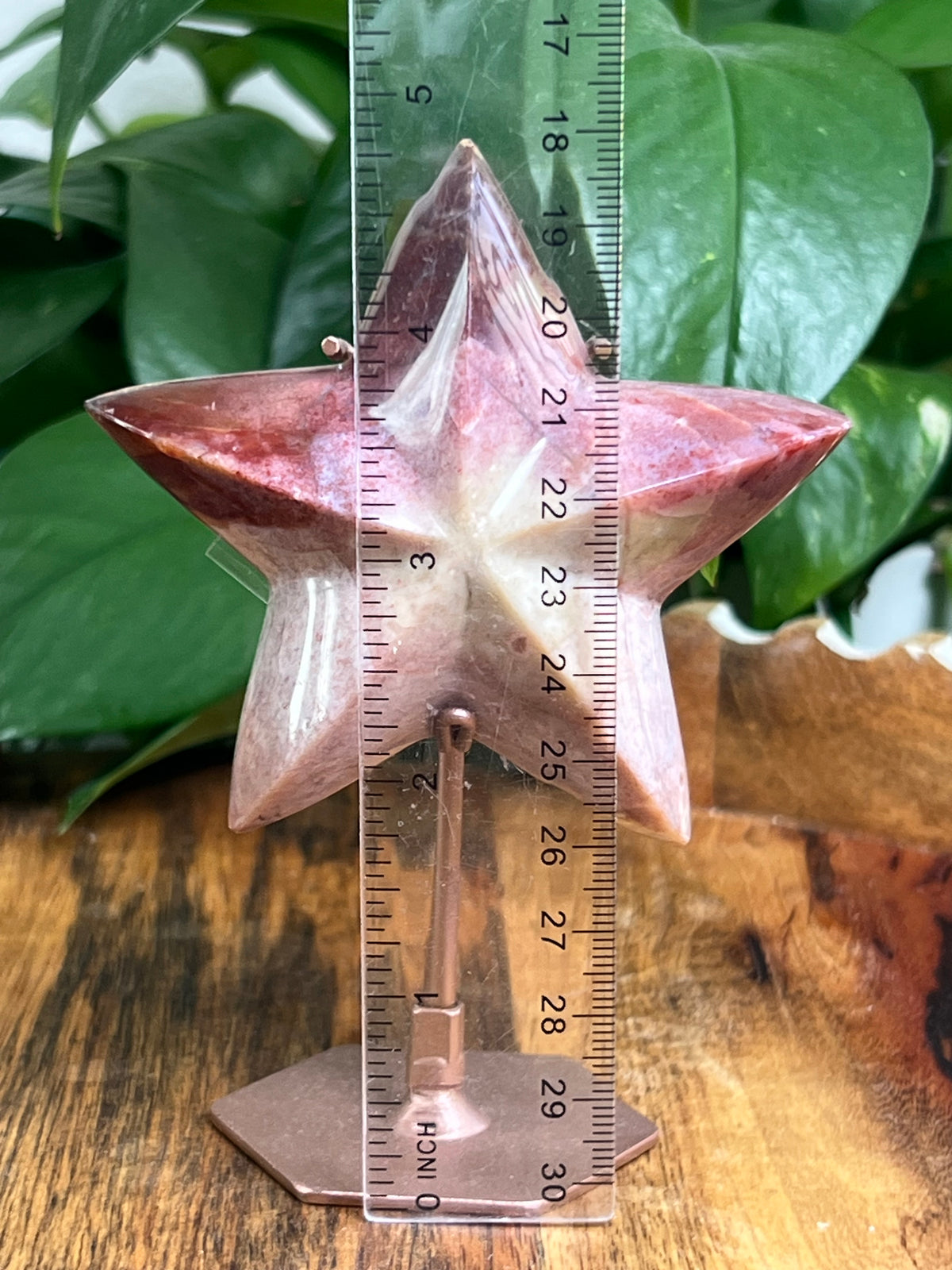 River Jasper Star: Bi