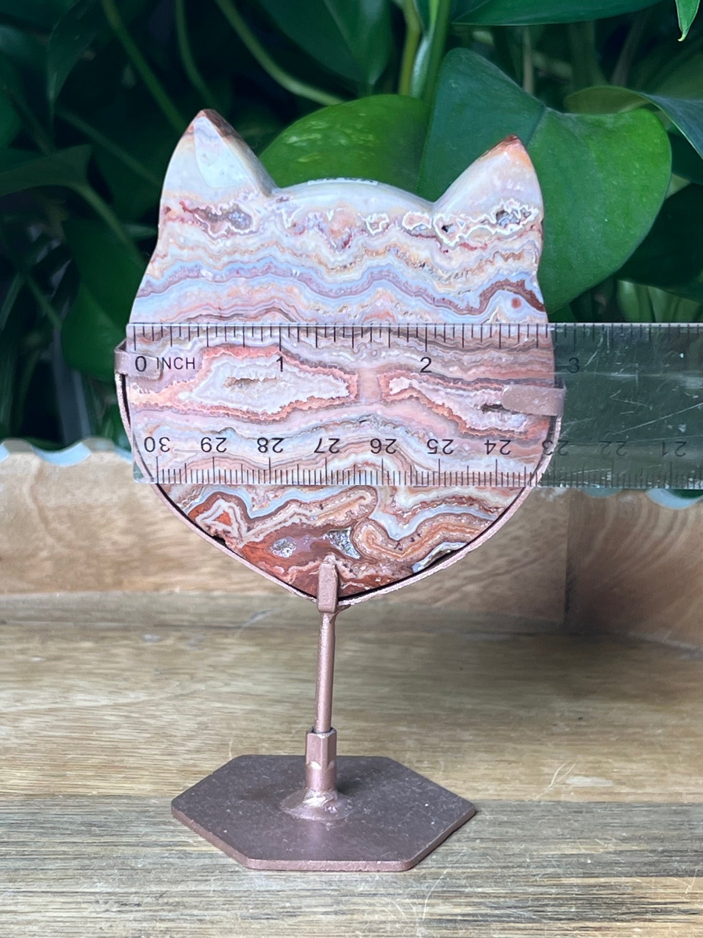 Crazy Lace Agate Cat Head