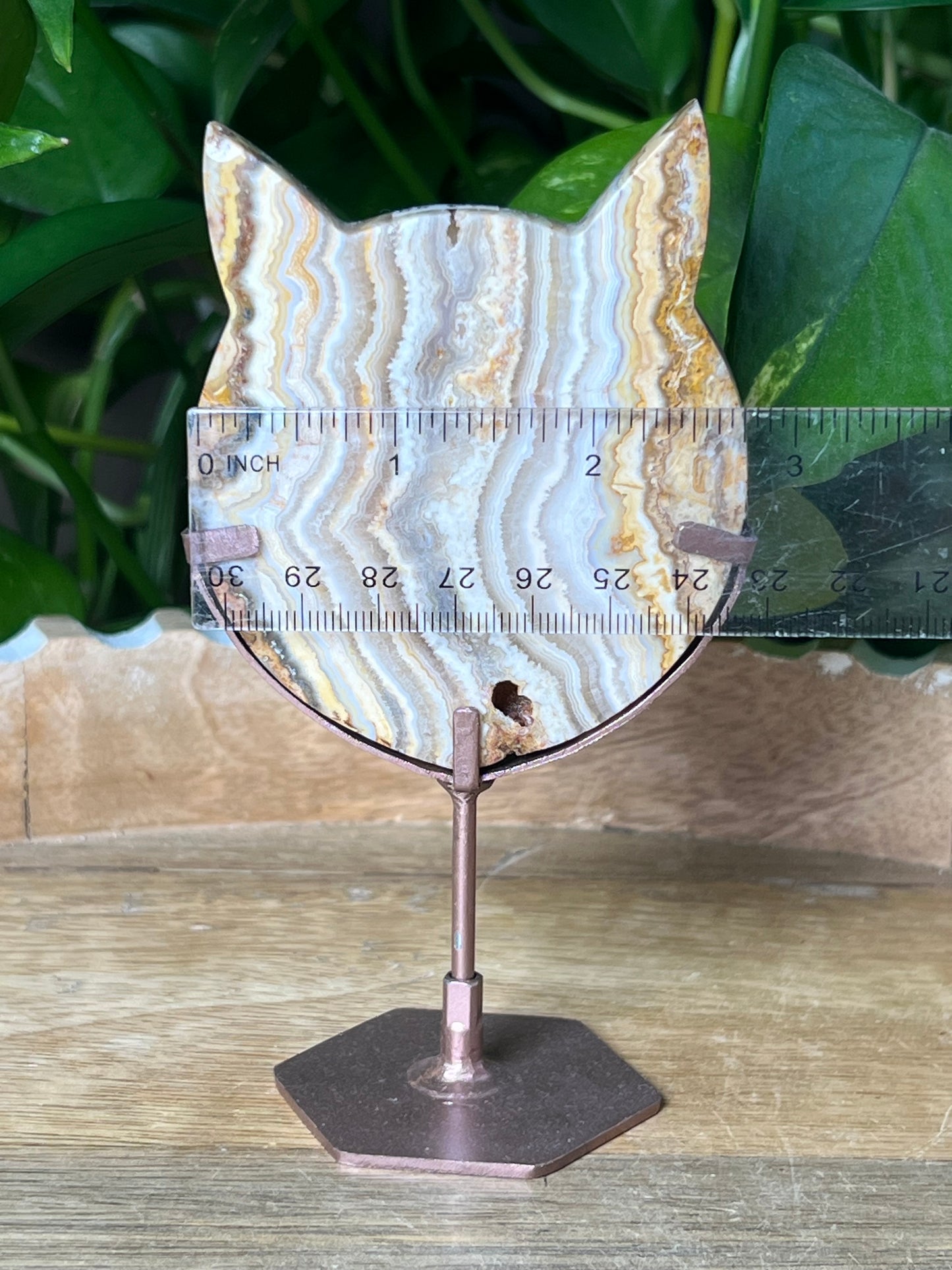Crazy Lace Agate Cat Head