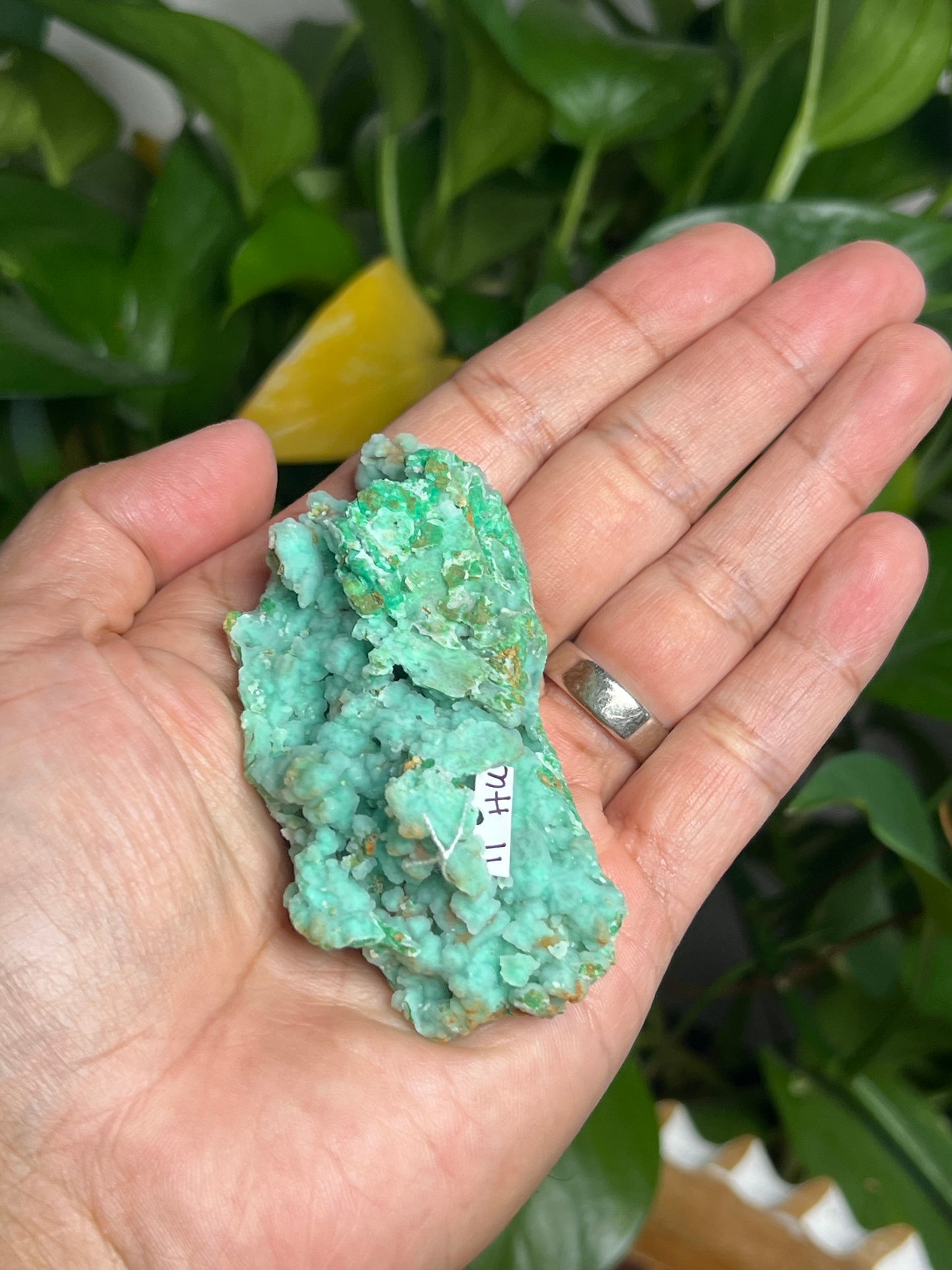 Smithsonite Specimen HU