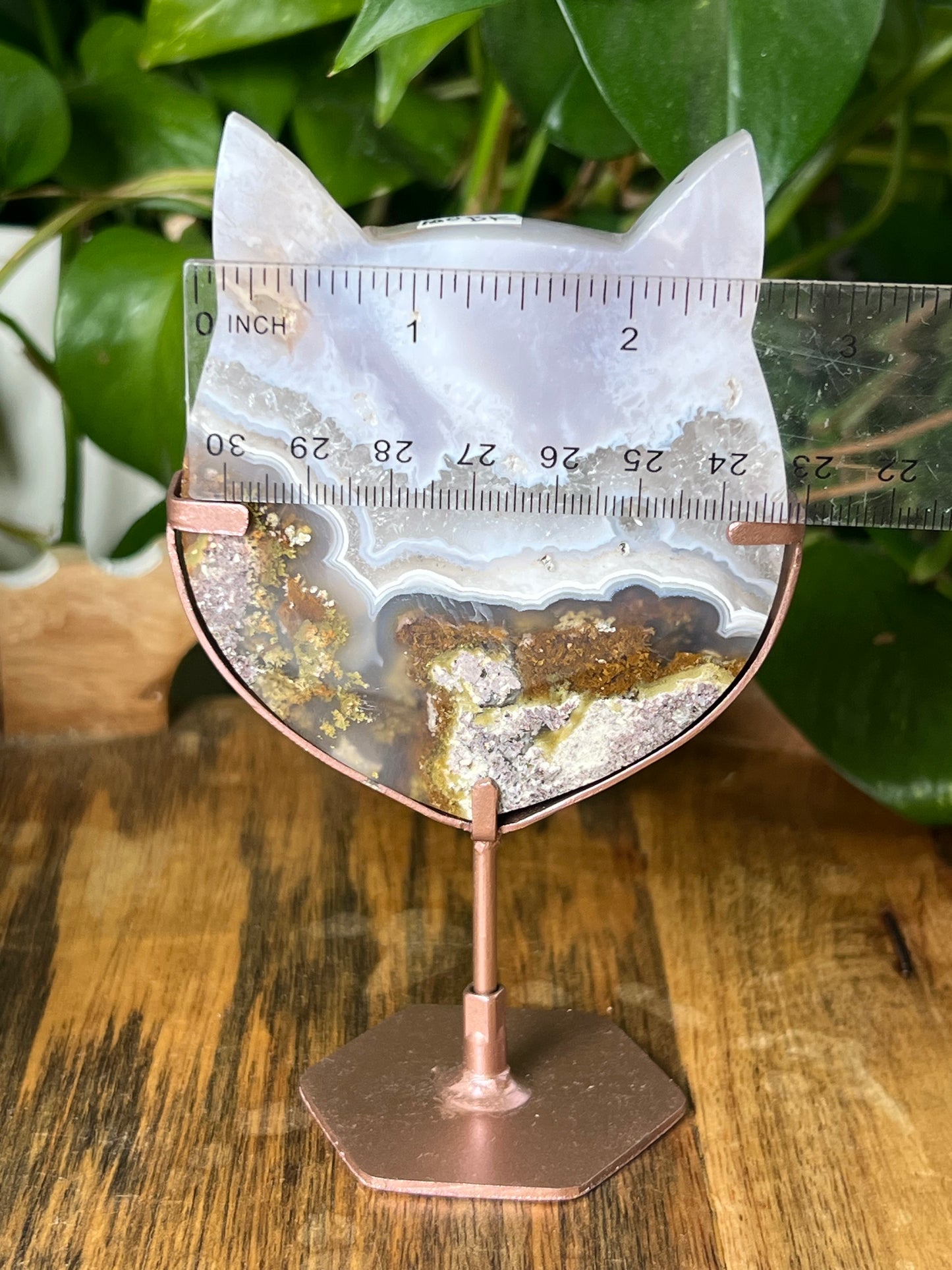 Scenic Moss Agate Cat Head