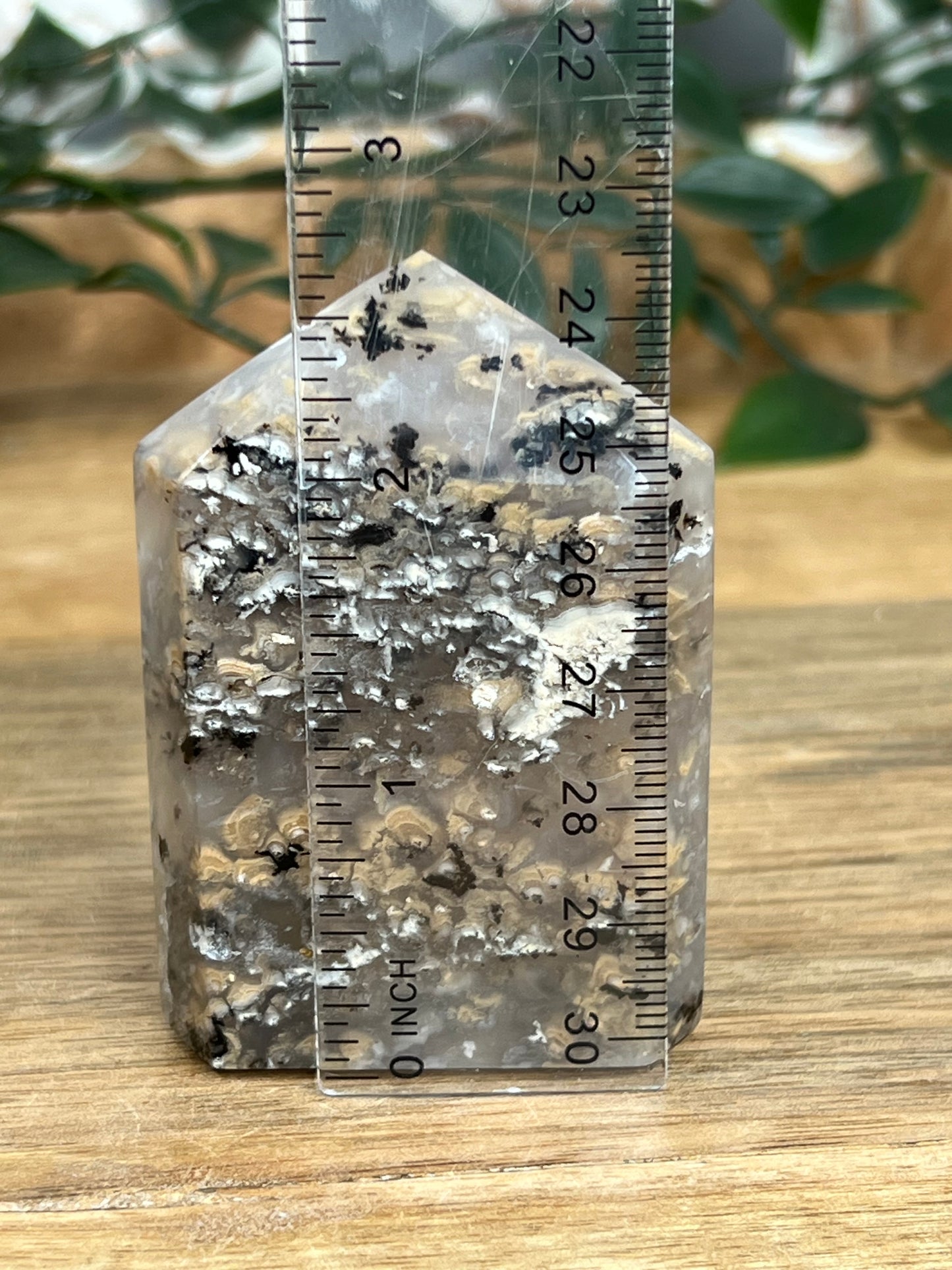 Dendritic Tiger Agate Tower