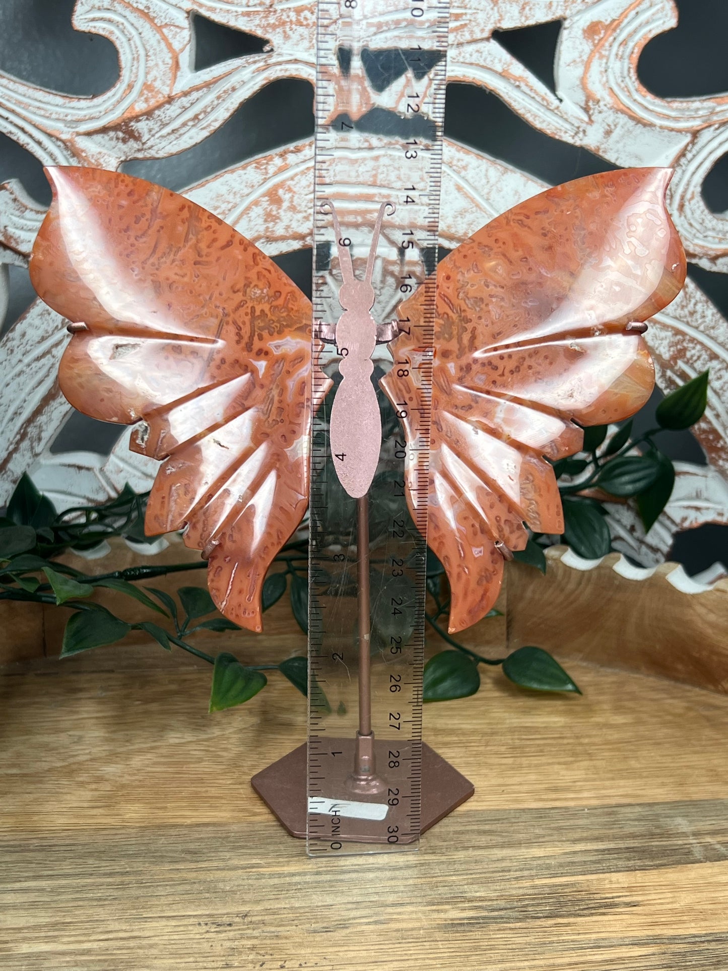 Carnelian Wings