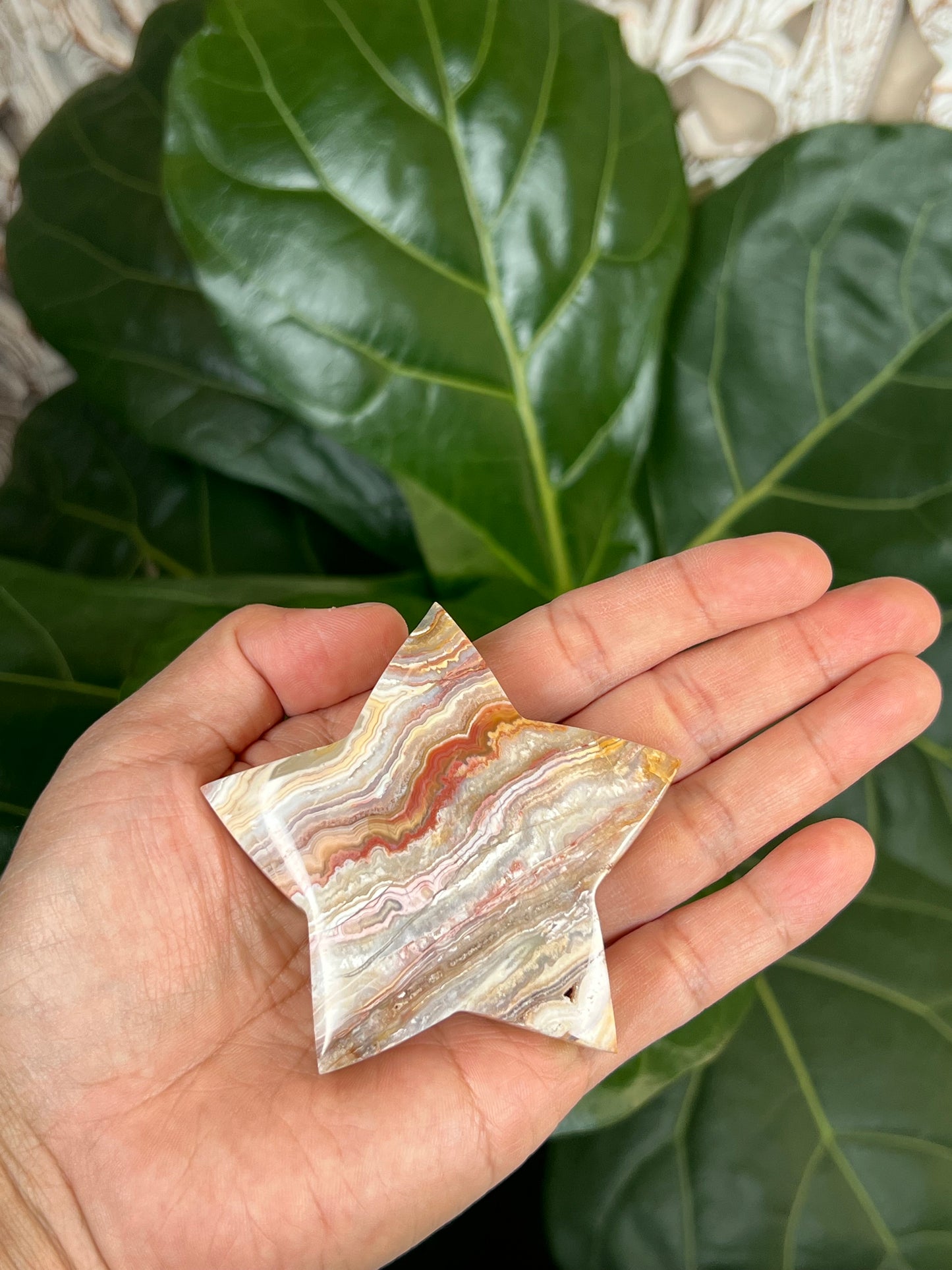 Crazy Lace Agate Star