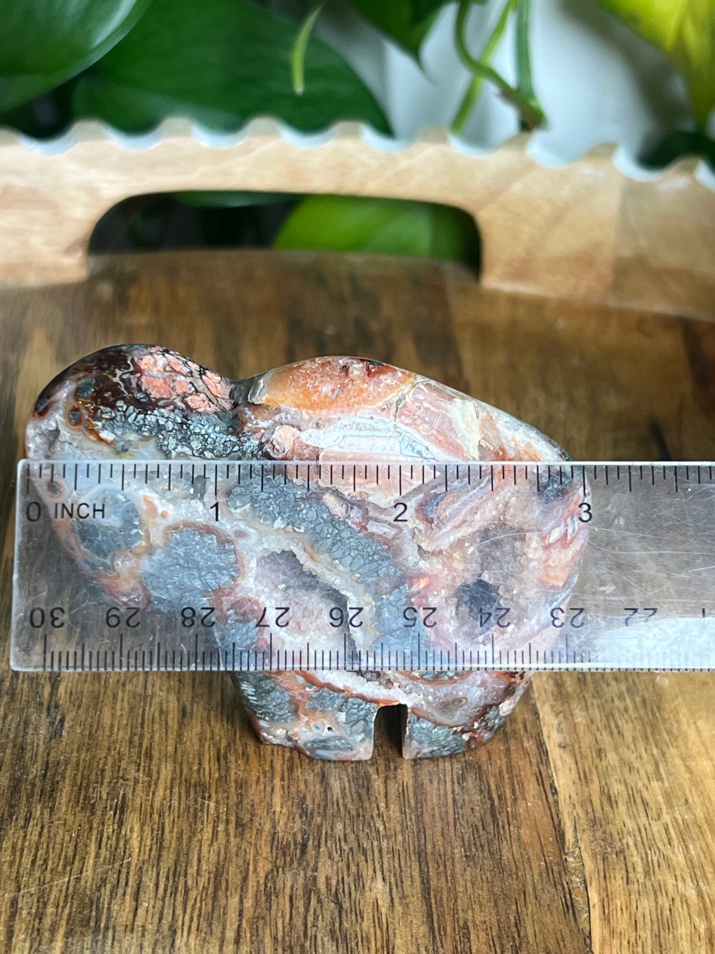 Marcasite Buffalo