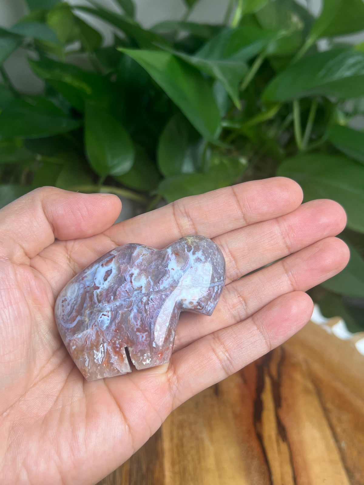 Sumatra Plume Agate Mini Buffalo: DE