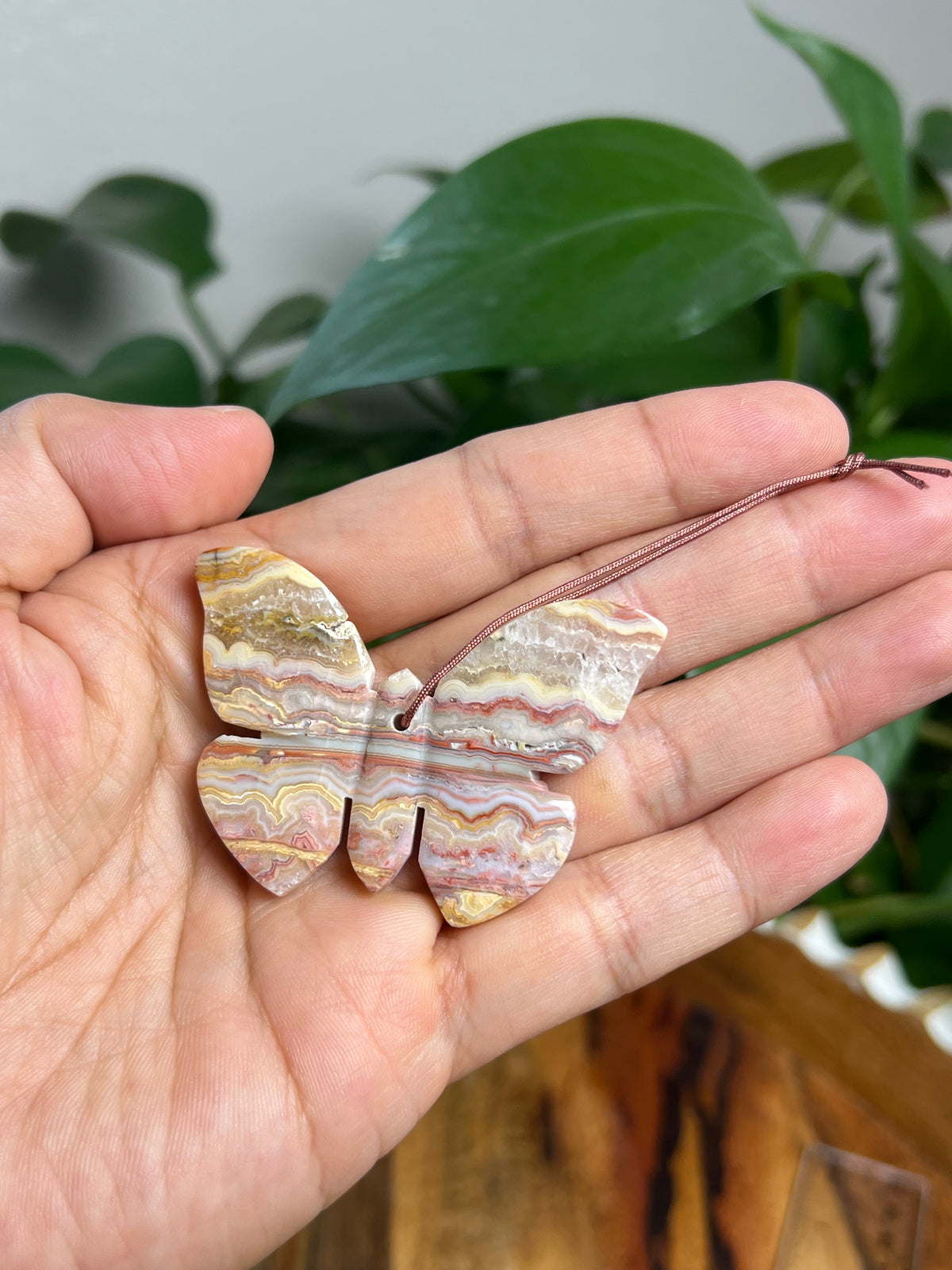 Crazy Lace Agate Ornament Butterfly: BD