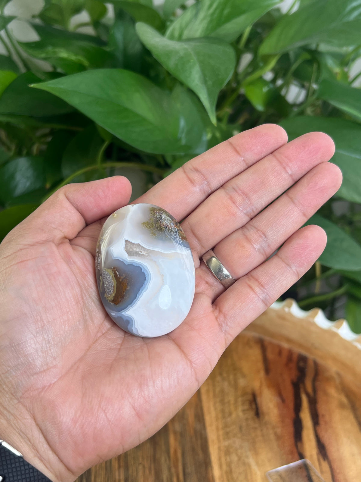 Scenic Moss Agate Palmstone: CA
