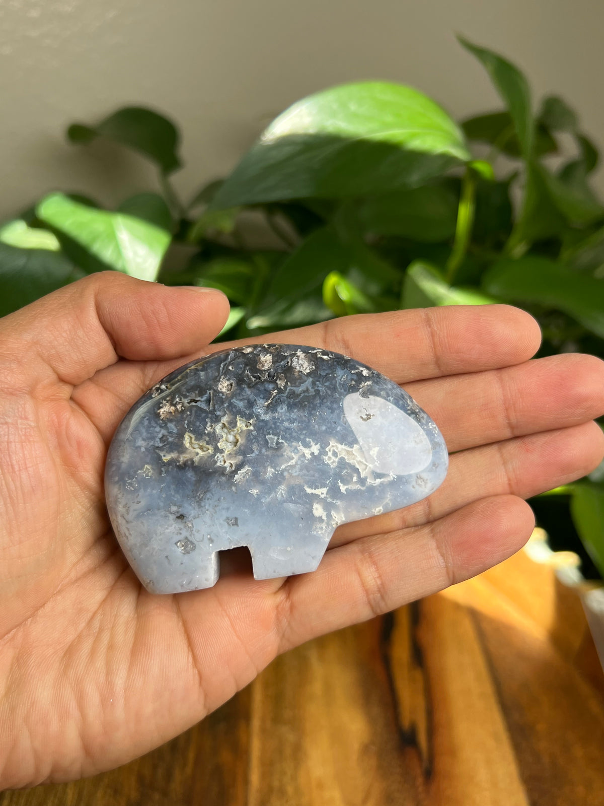 Blue Plume Agate Bear: DS
