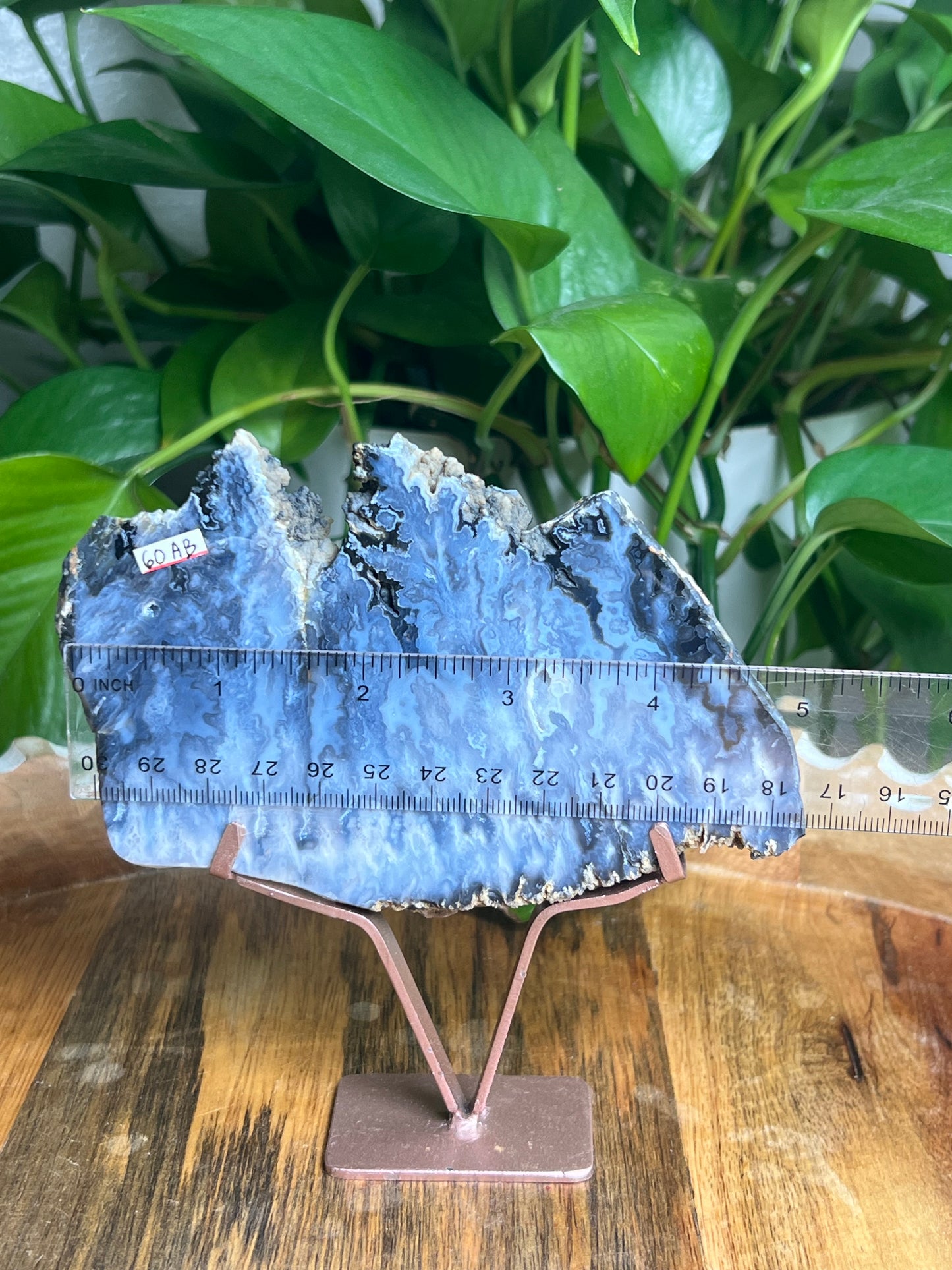 Blue Plume Agate Slab: AB
