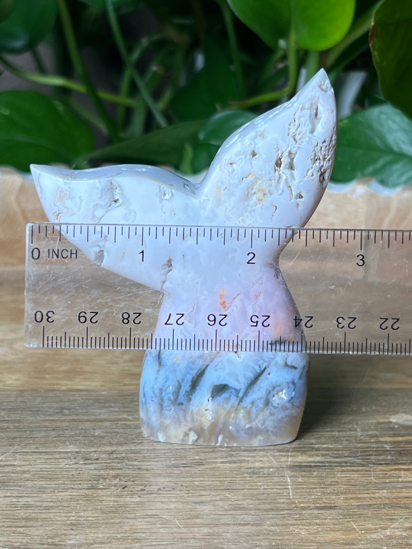 Rainbow Plume Agate Tail: RB