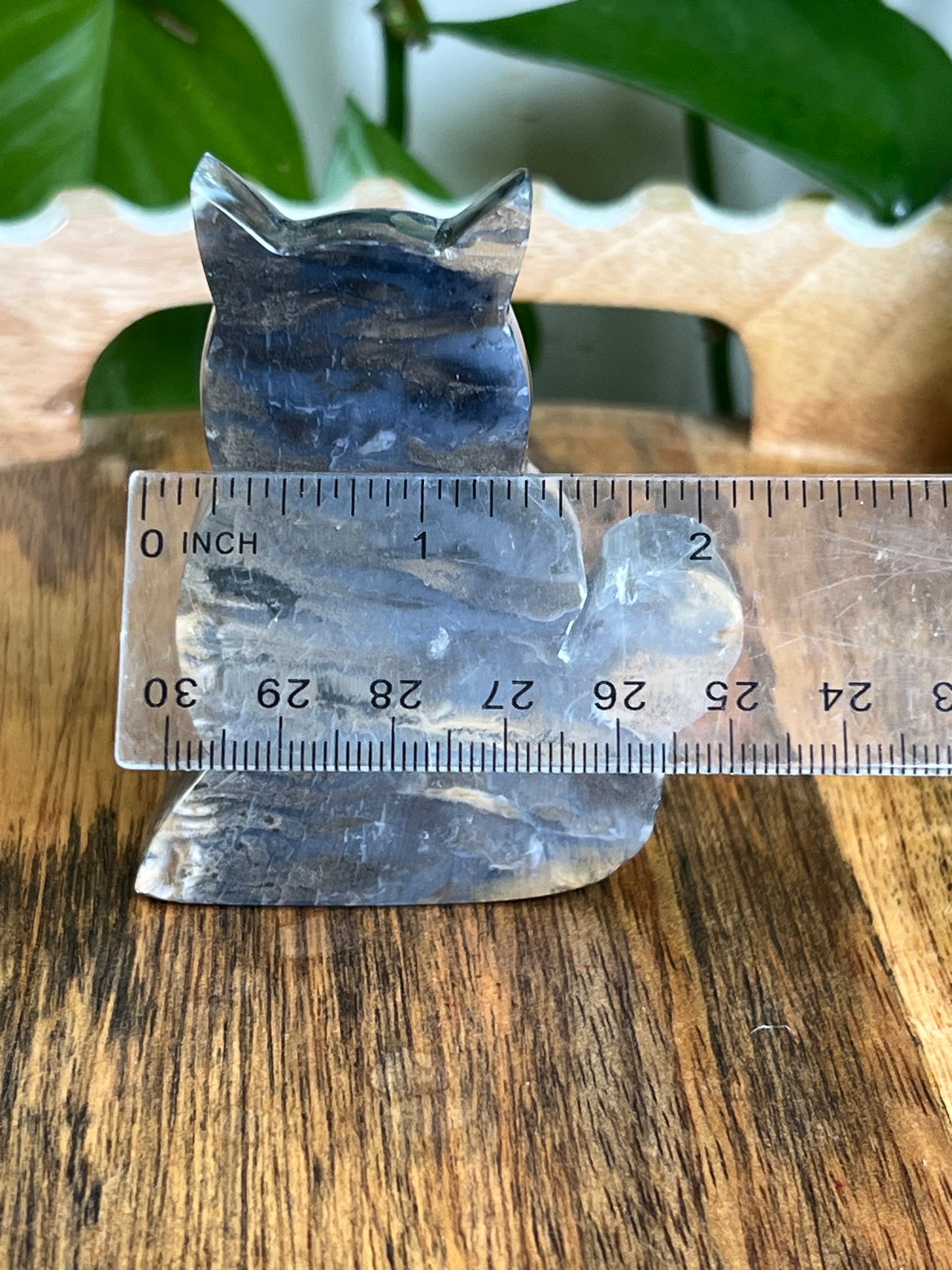 Dendritic Tiger Agate Cat AH