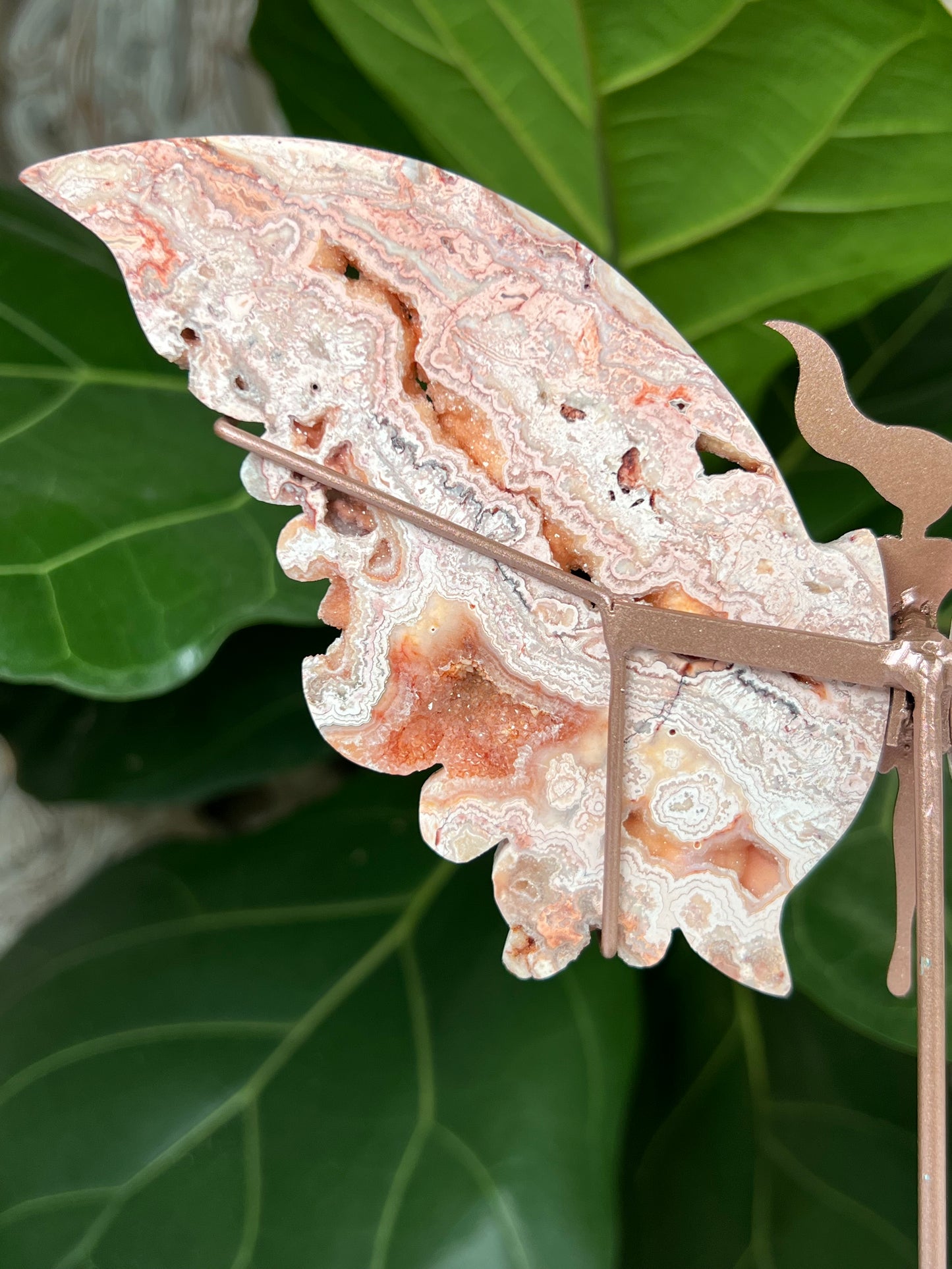 Crazy Lace Agate Wings