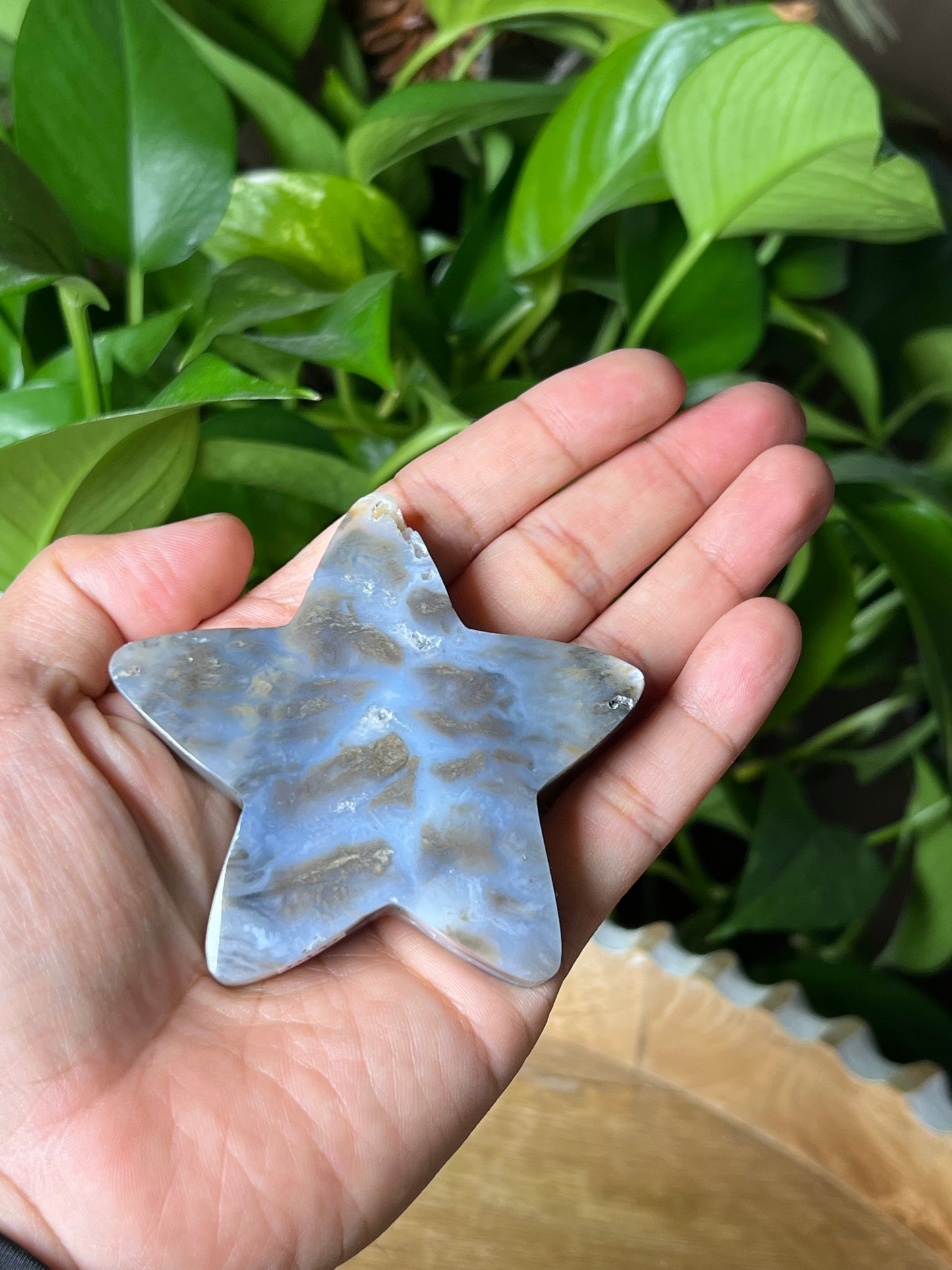 Dendritic Tiger Star