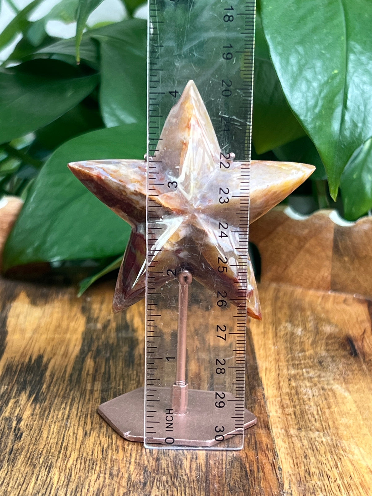 River Jasper Star: R
