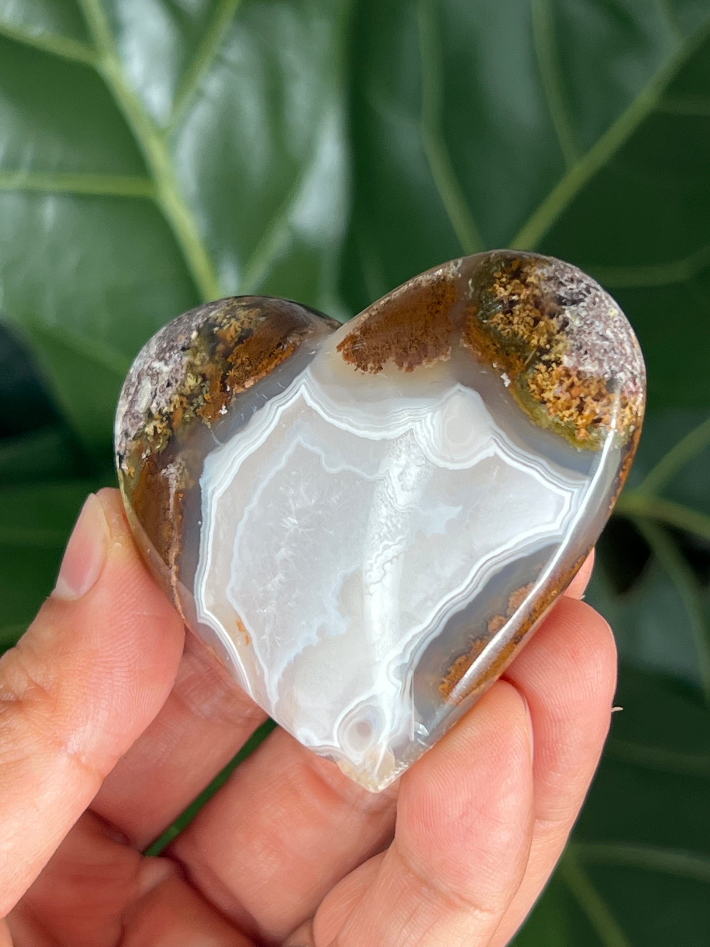 Scenic Moss Agate Heart