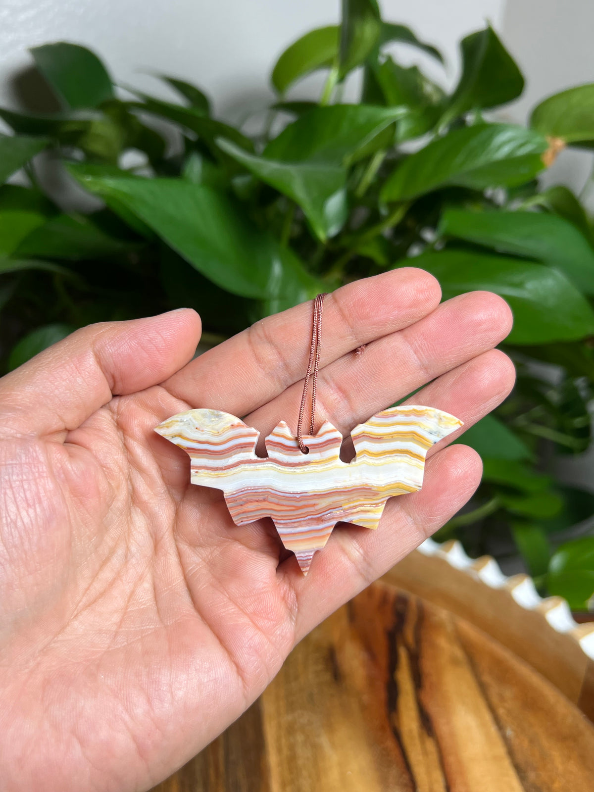 Crazy Lace Agate Ornament Bat: Q