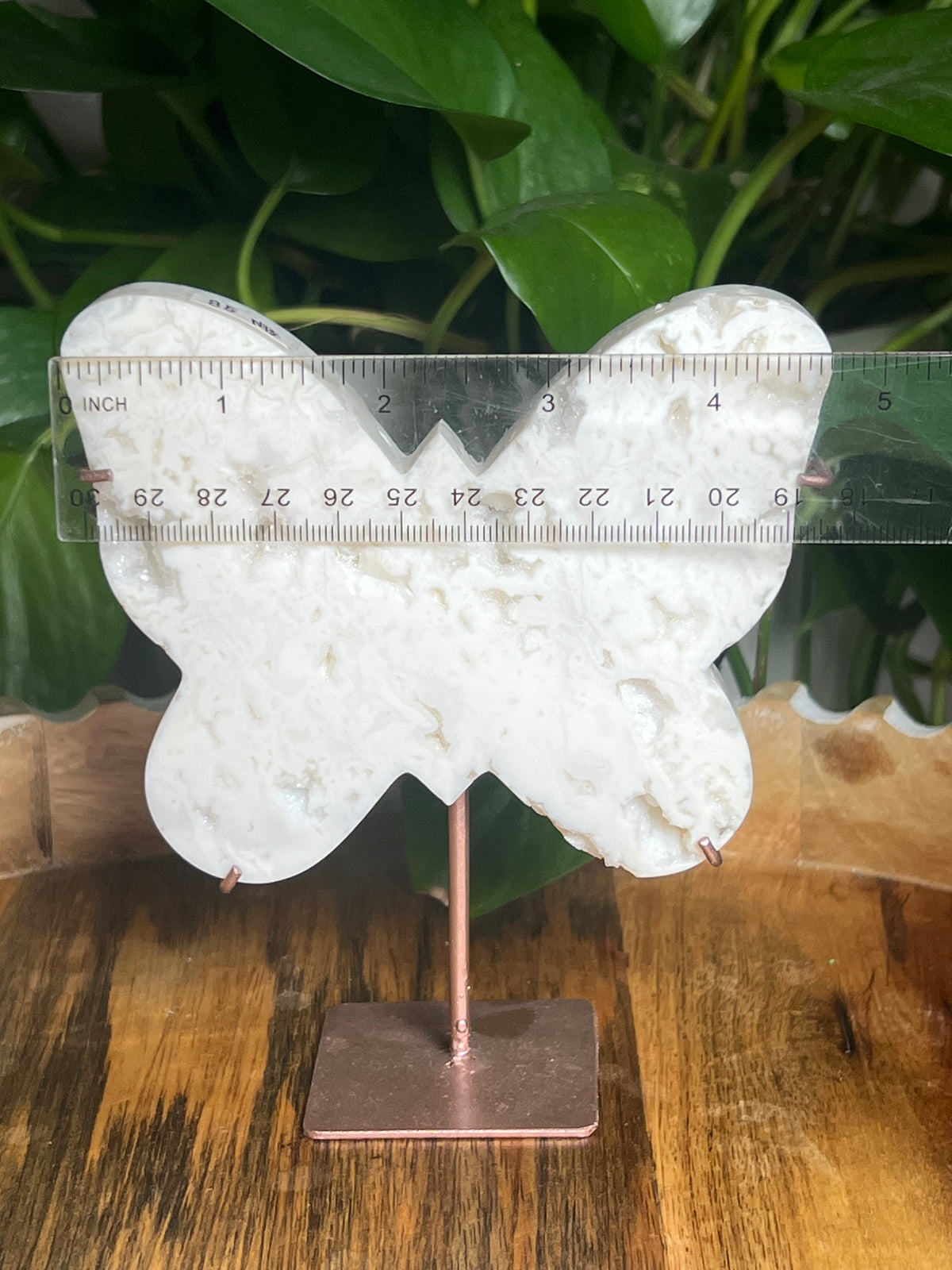 White Plume Agate Butterfly: NB