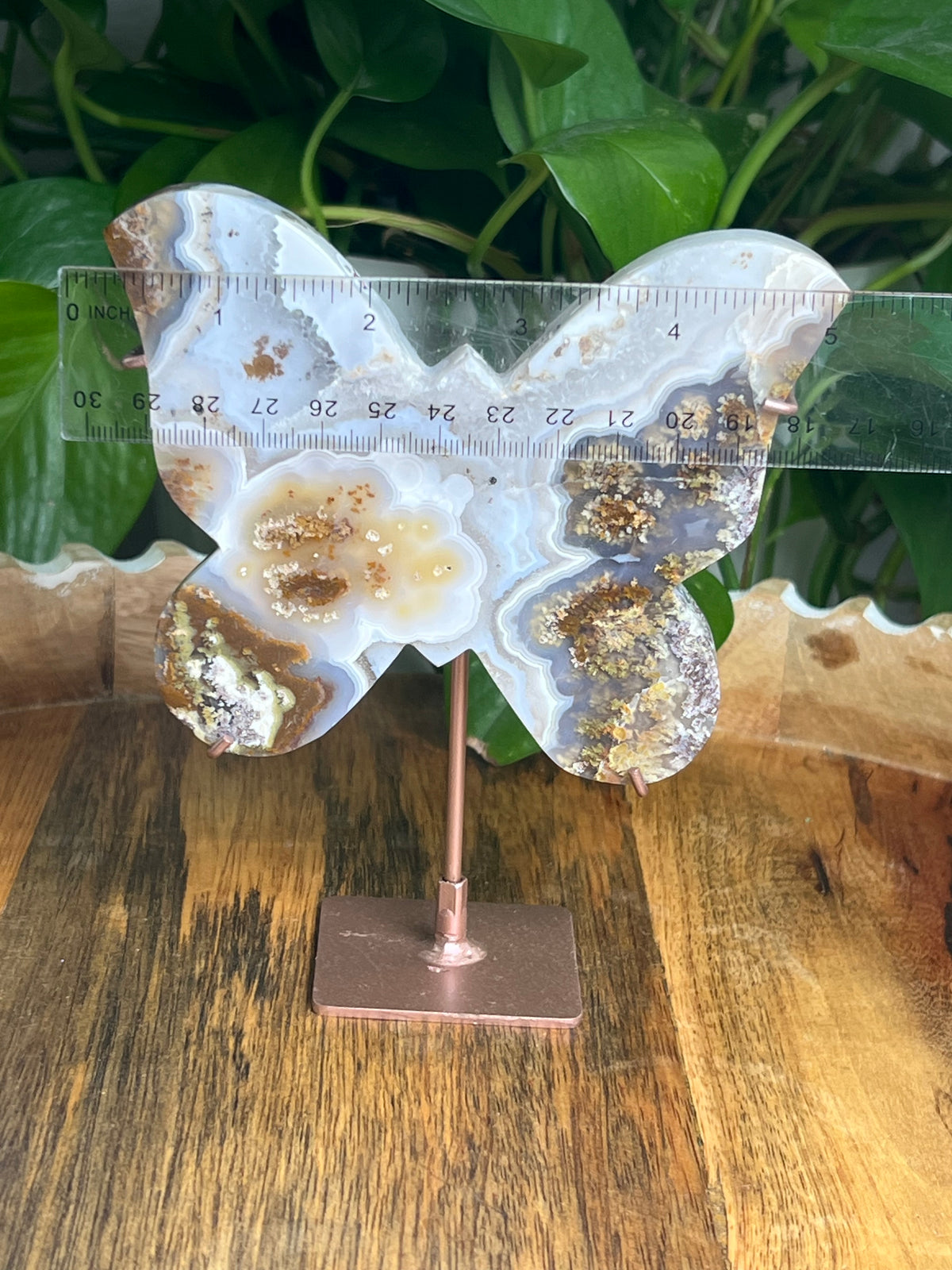 Scenic Moss Agate Butterfly: A