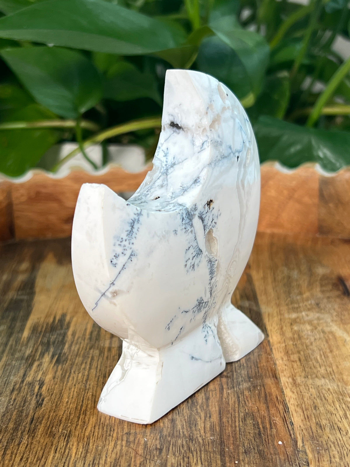 Dendritic Agate Moon: KB