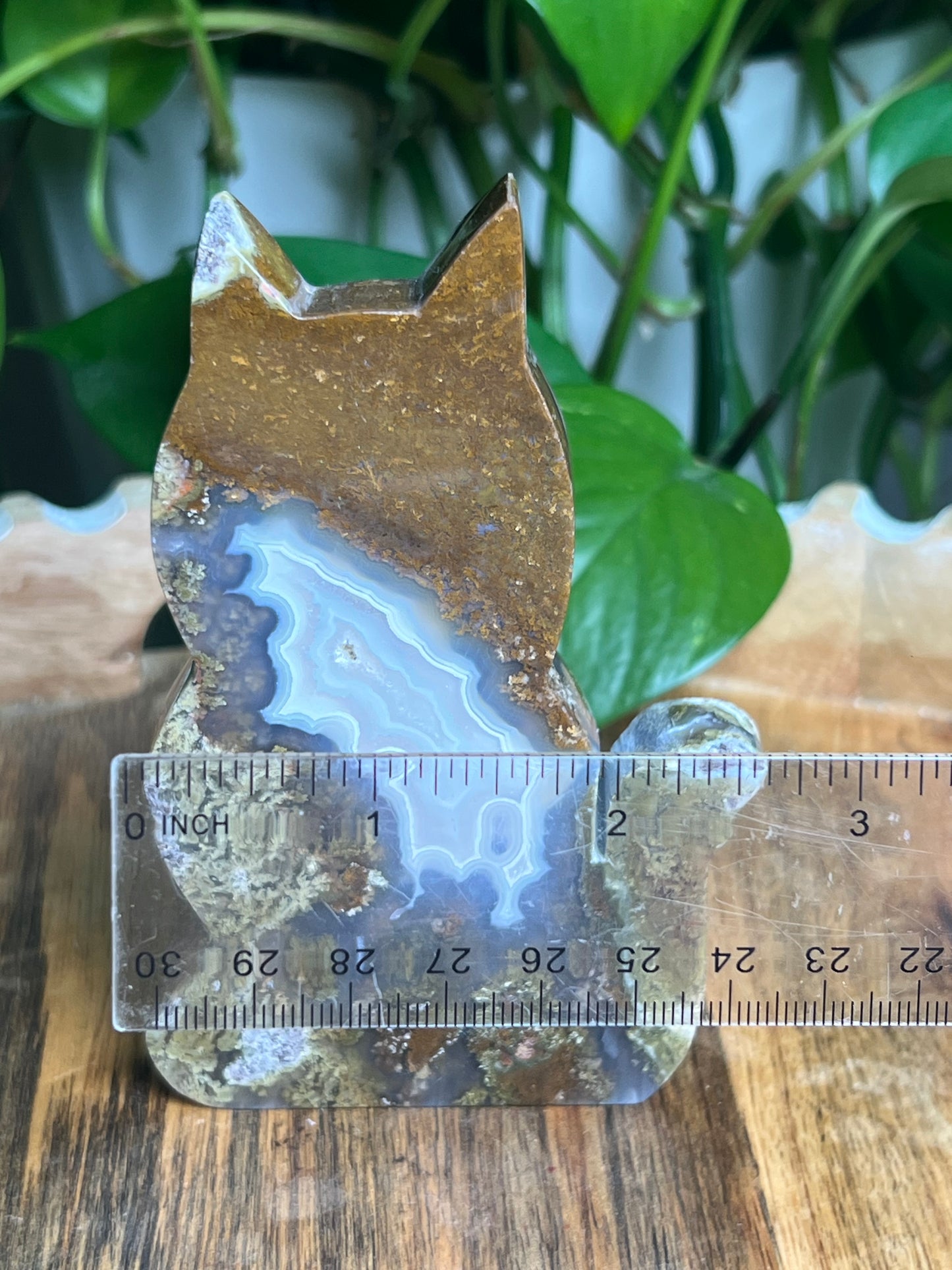Scenic Moss Agate Cat: AB