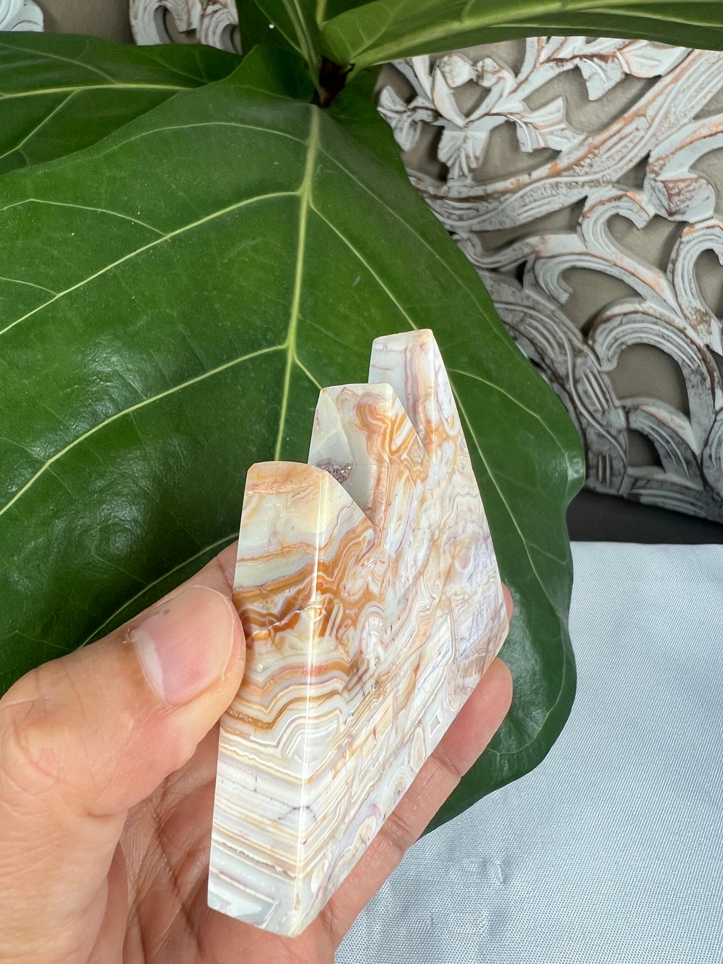 Crazy Lace Agate Mountain