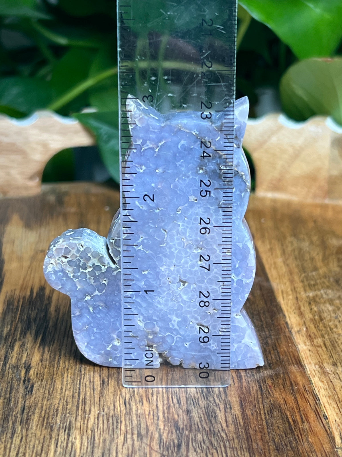 Grape Agate Cat: Ni