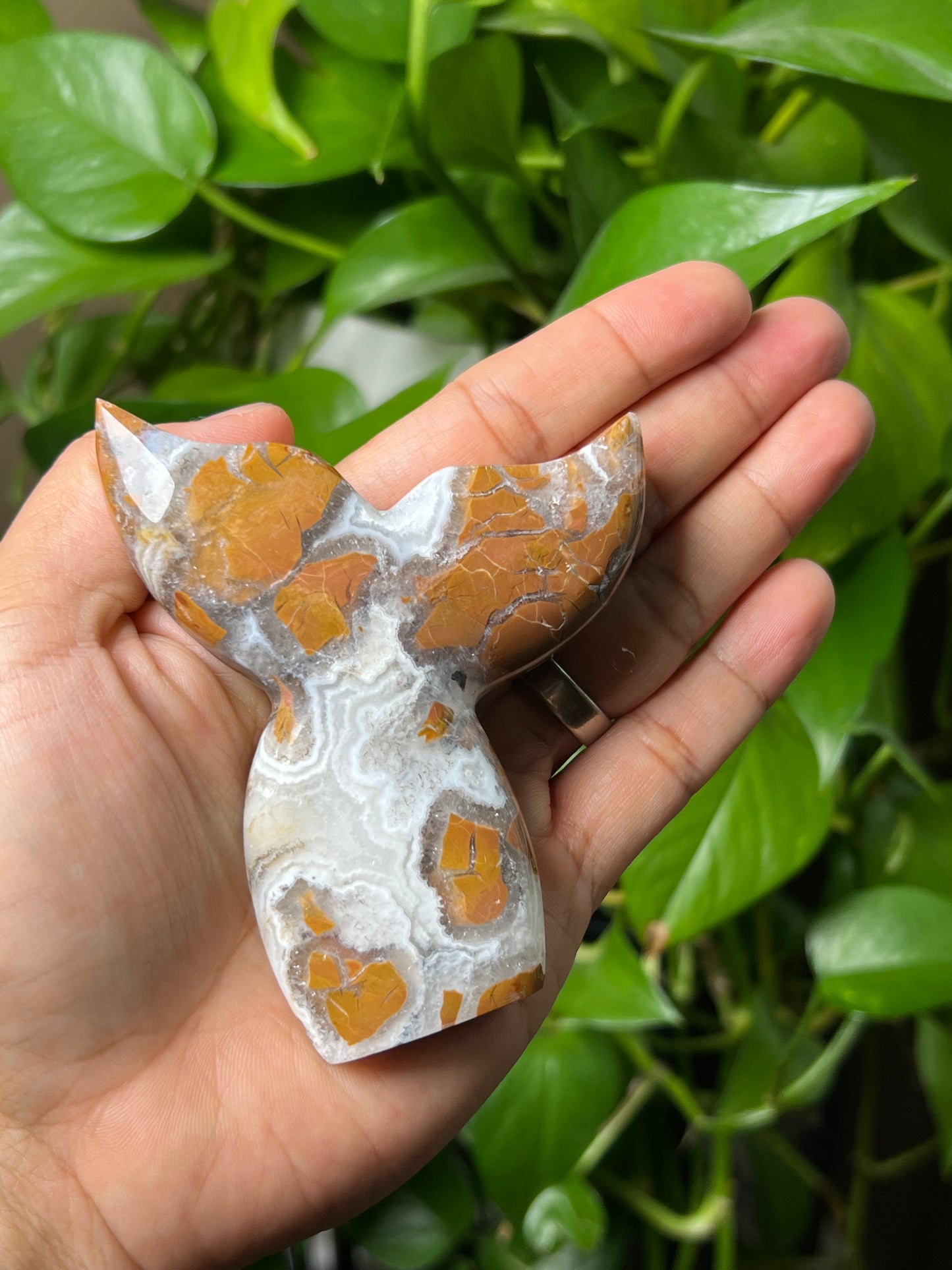 Brecciated Jasper Tail