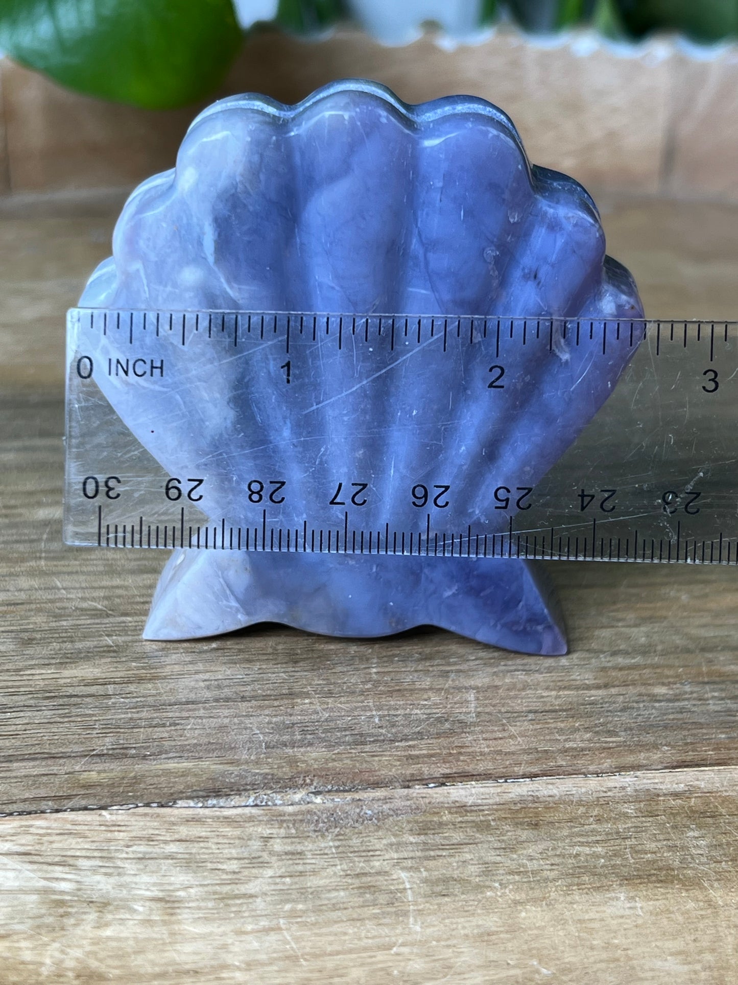Purple Chalcedony Shell