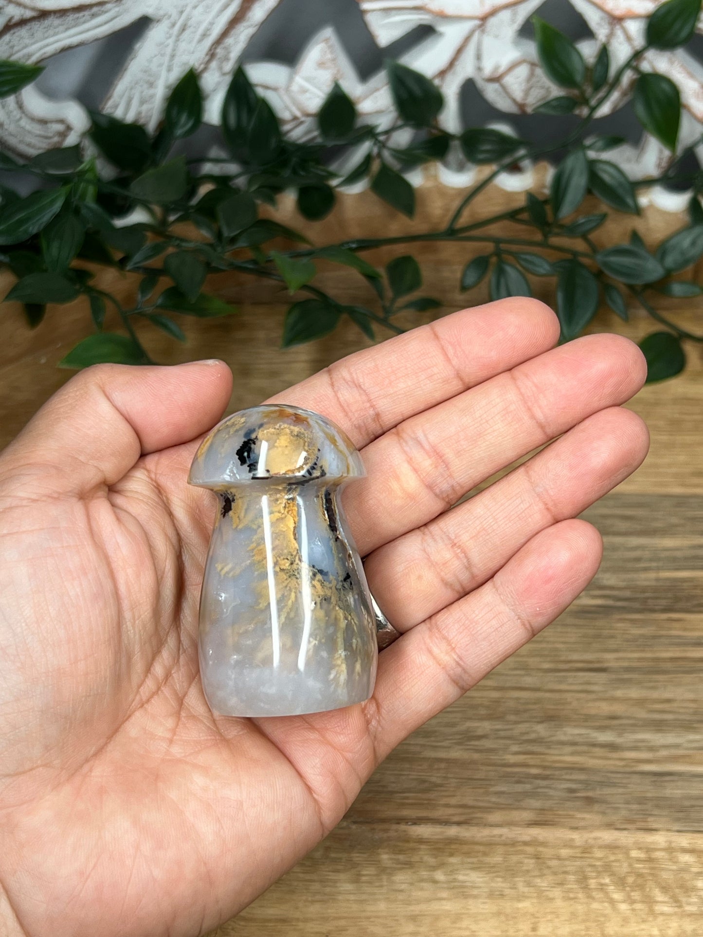 Dendritic Tiger Agate Mushroom