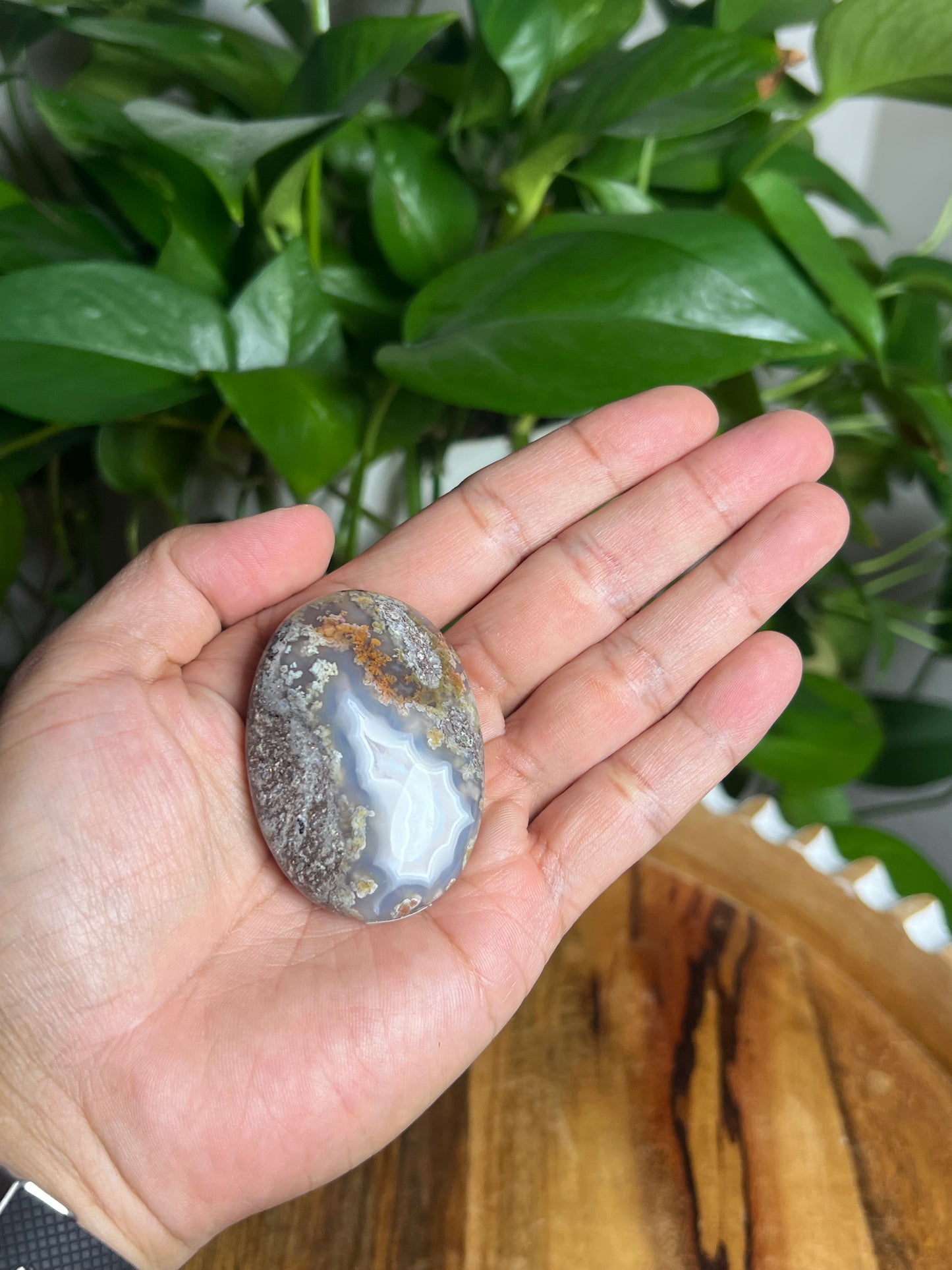 Scenic Moss Agate Palmstone: QC