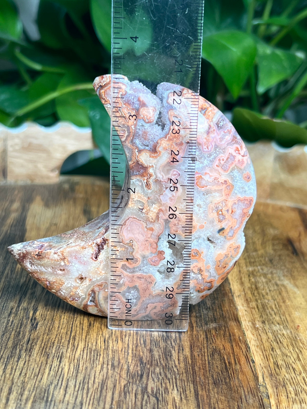 Crazy Lace Agate Self Standing Moon: MB