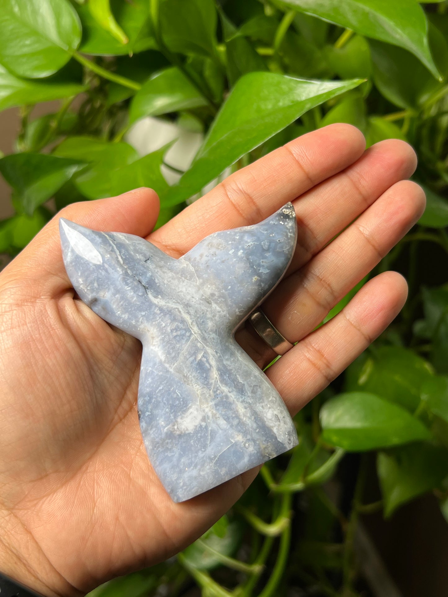 Purple Chalcedony Tail
