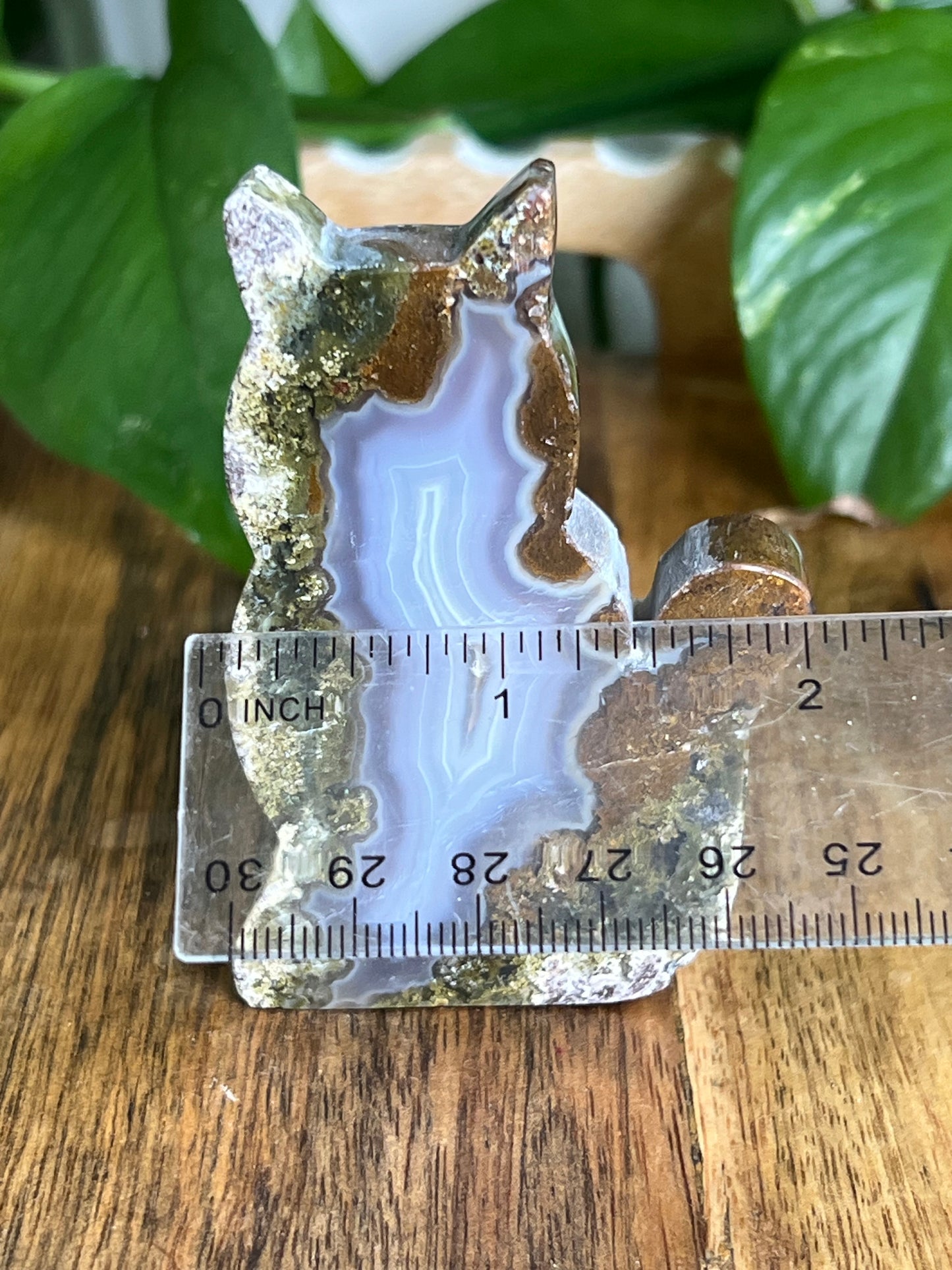 Scenic Moss Agate Cat HK