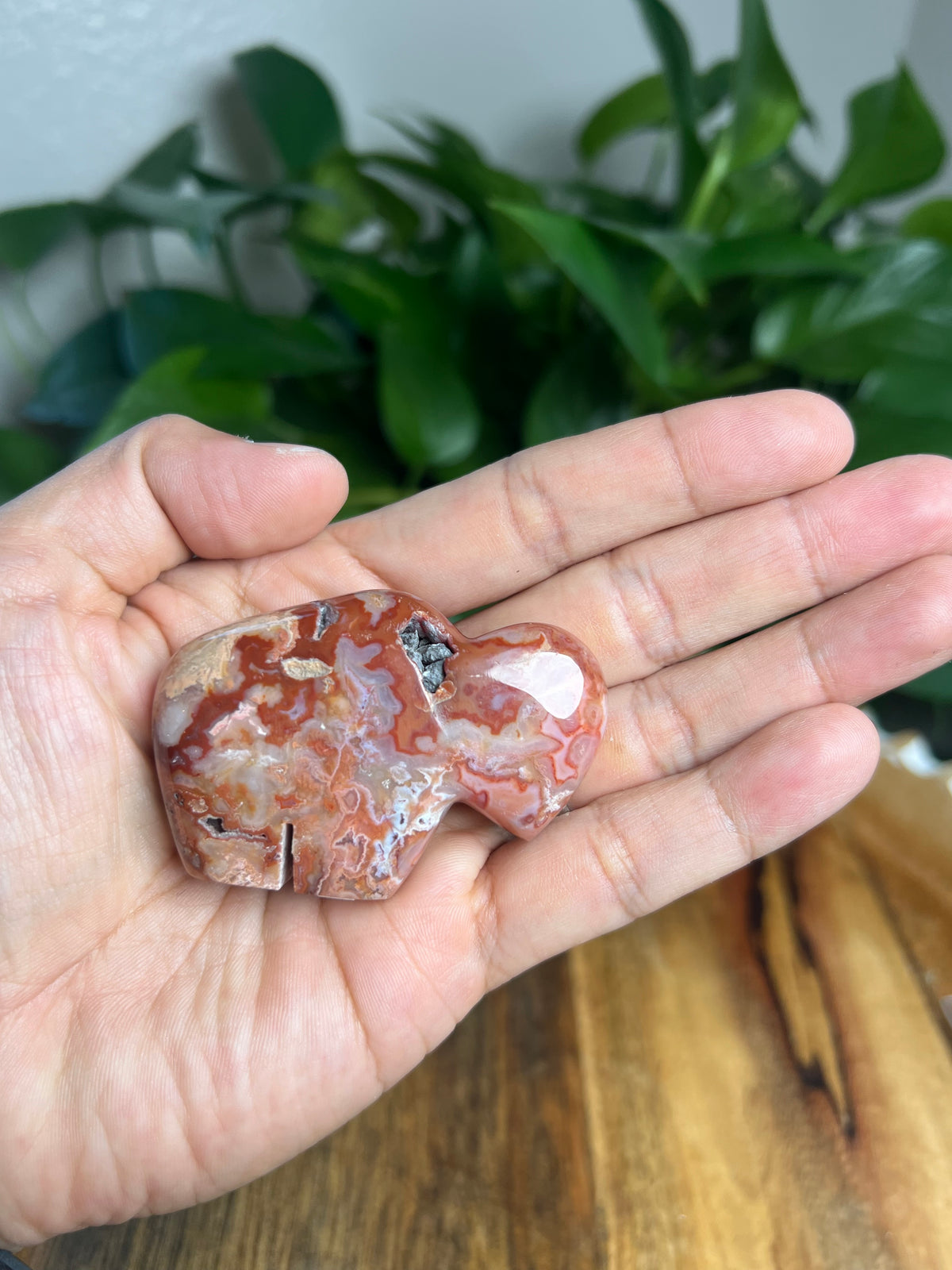 Carnelian Mini Buffalo: BG
