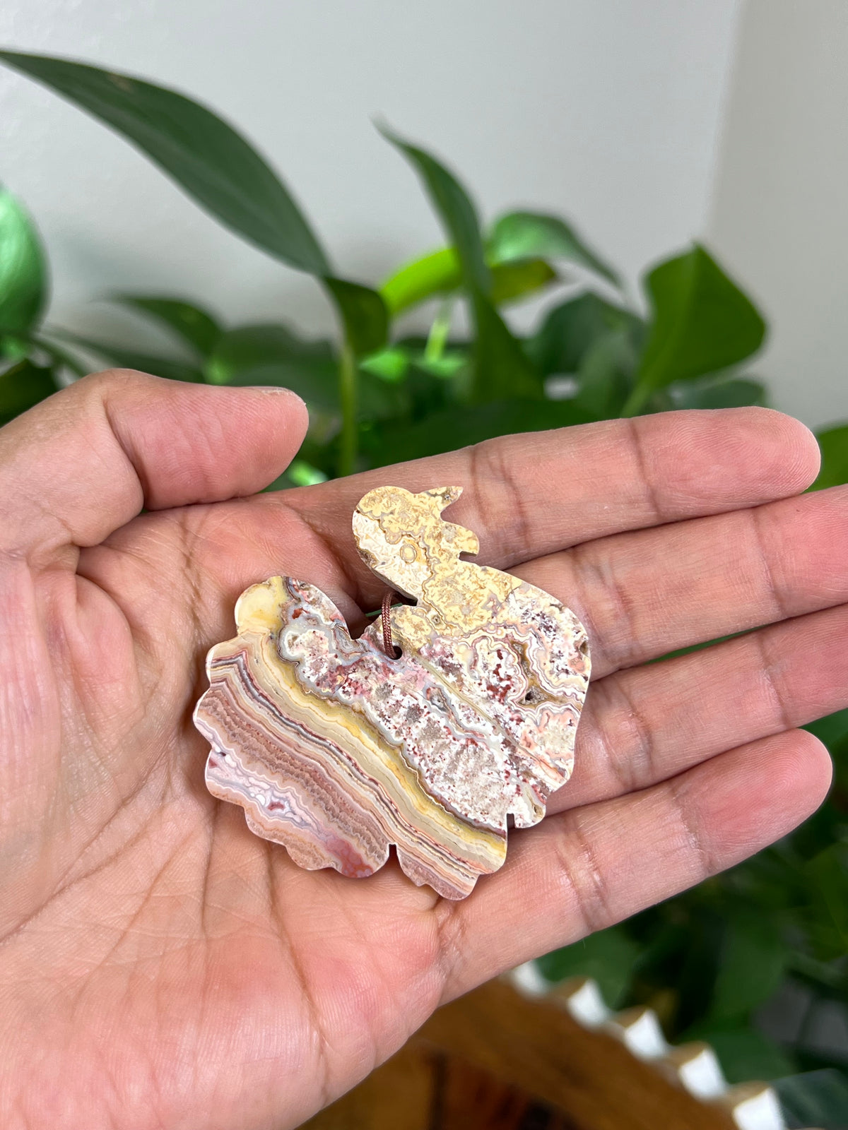 Crazy Lace Agate Turkey Ornaments