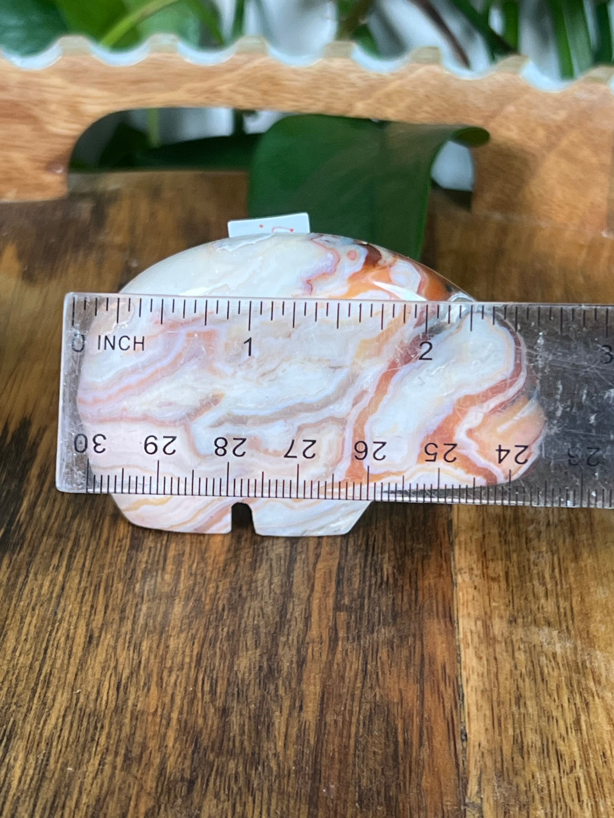 Crazy Lace Agate Bears